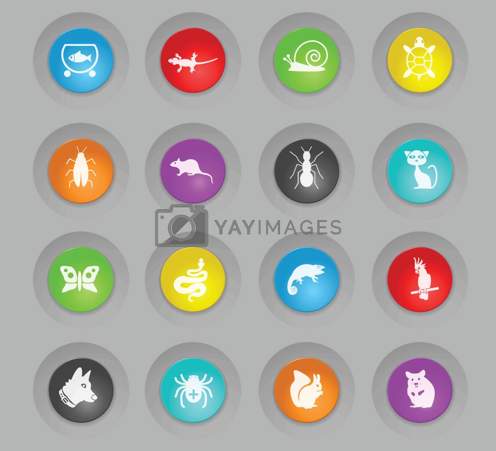 pets colored plastic round buttons web icons for user interface design