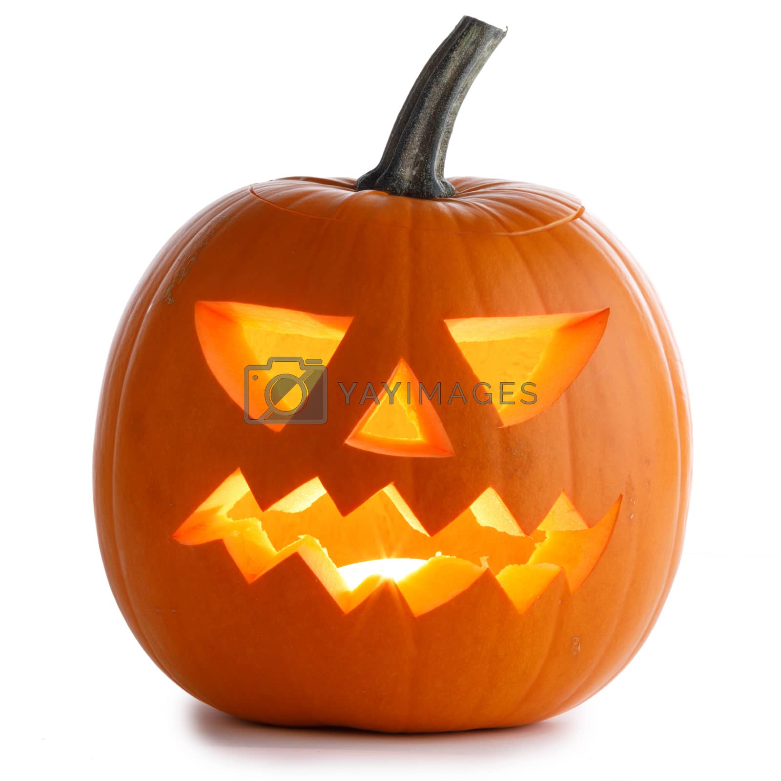 Royalty free image of Halloween Pumpkin on white by Yellowj