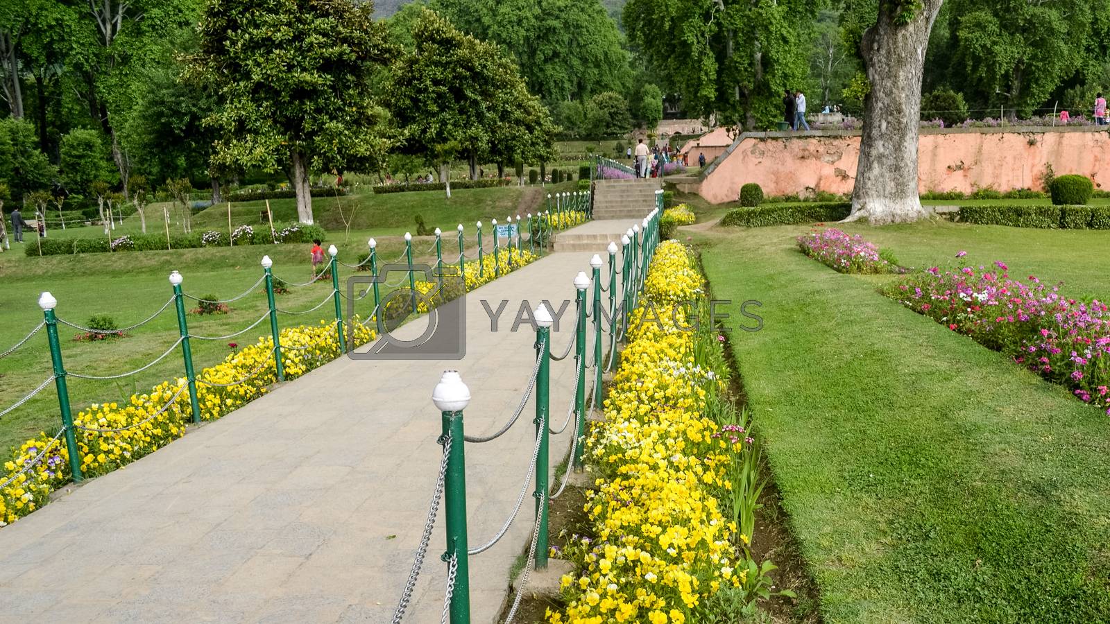 Royalty free image of Front Yard Garden stone path fence with beautiful autumn flowers and grass growing up side of stone road way. Gardening around house with beautiful decoration. Tranquil Green view Copy Space room text by sudiptabhowmick