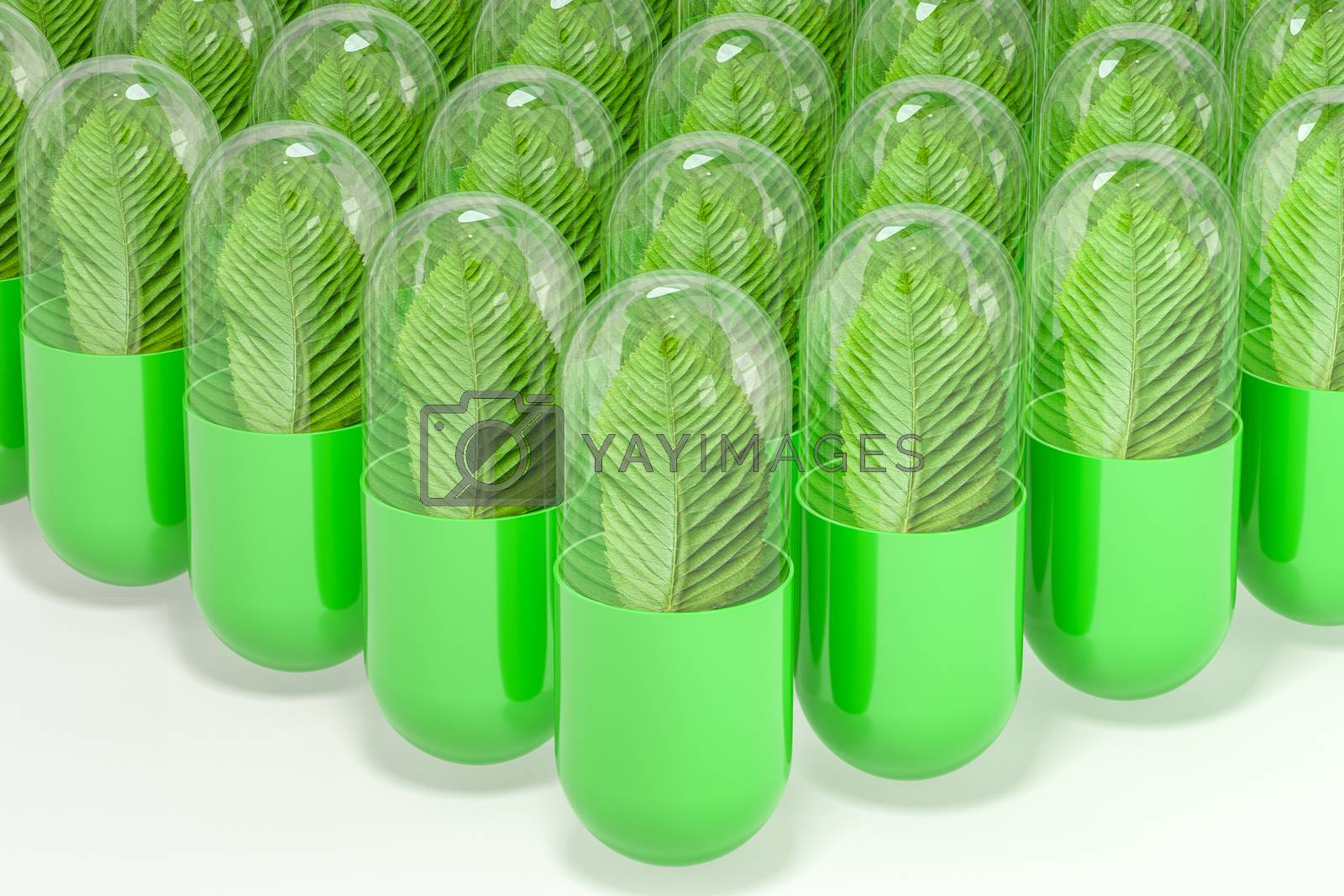 Royalty free image of 3d rendering, green capsule with leaf in it by vinkfan