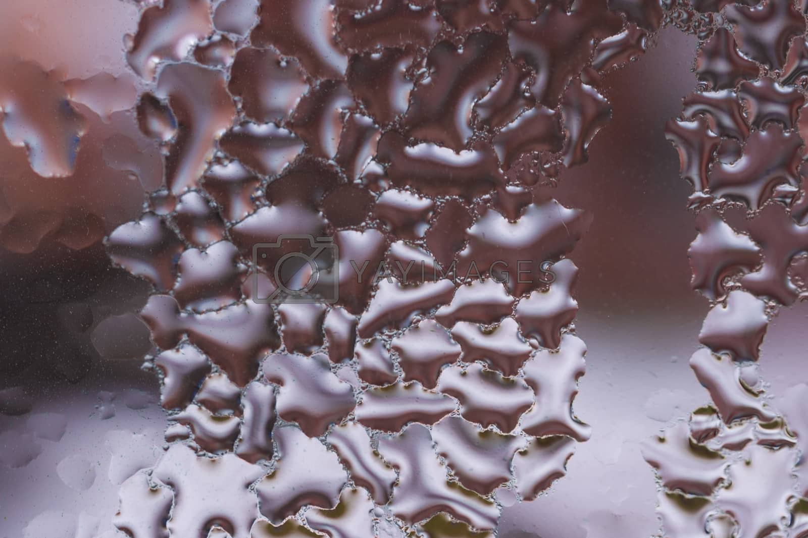 Royalty free image of Water drops on glass window close up with blurred background. Drops in macro. Condensate on window closeup. Wet air. by alexsdriver