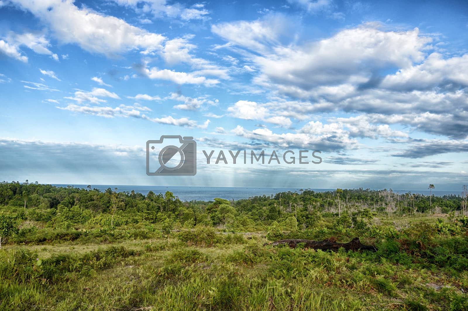 Royalty free image of panoramic mountain tropical forests by antonihalim