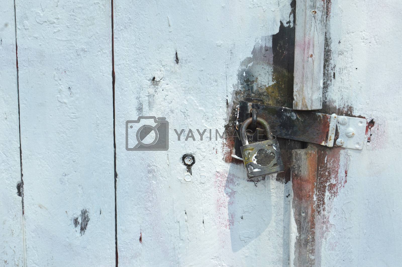 Royalty free image of padlock by antonihalim