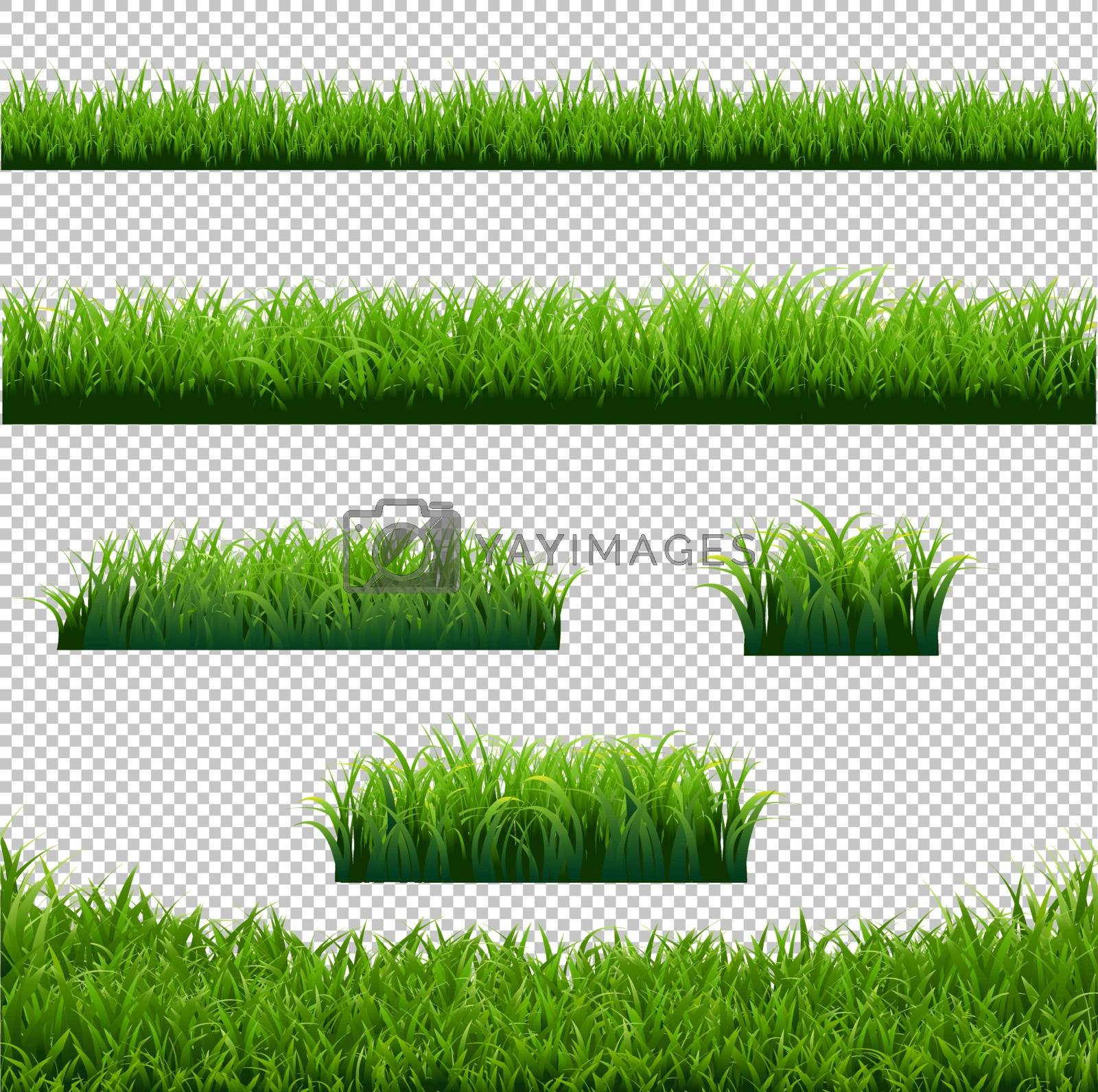 Royalty free image of Green Grass Borders Big Set Transparent Background by adamson