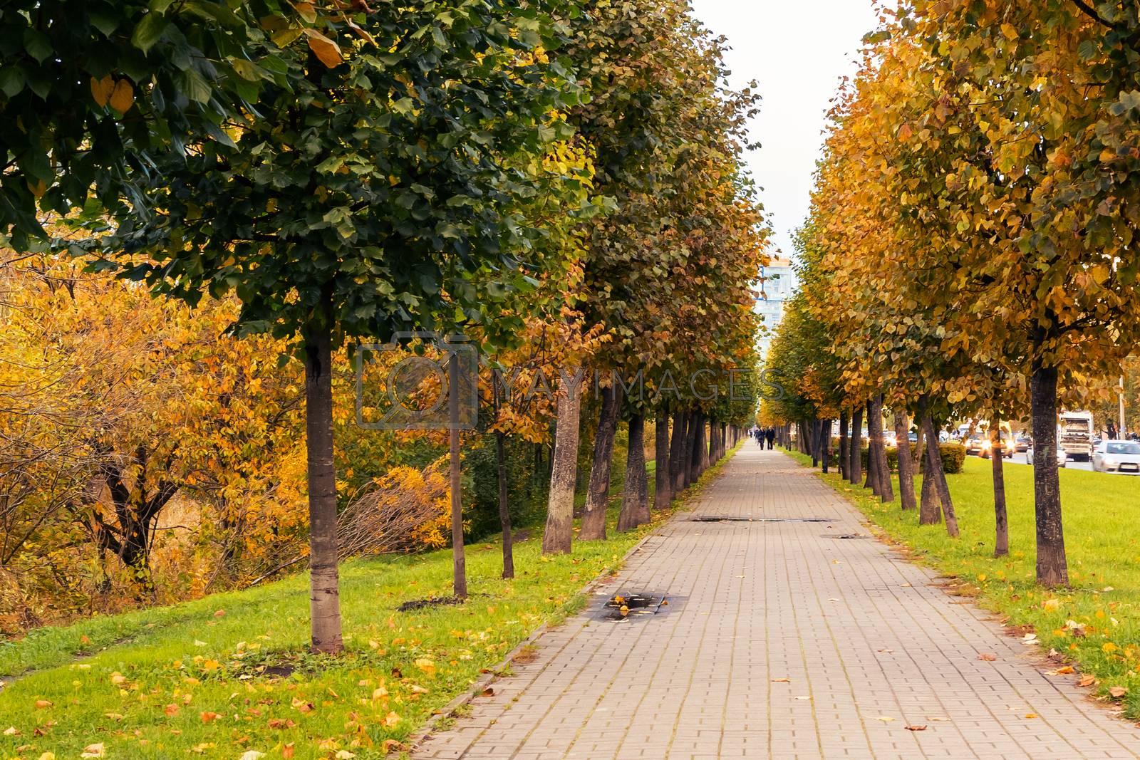 Royalty free image of Tiled path in the autumn park at sunset, autumn landscape by galsand