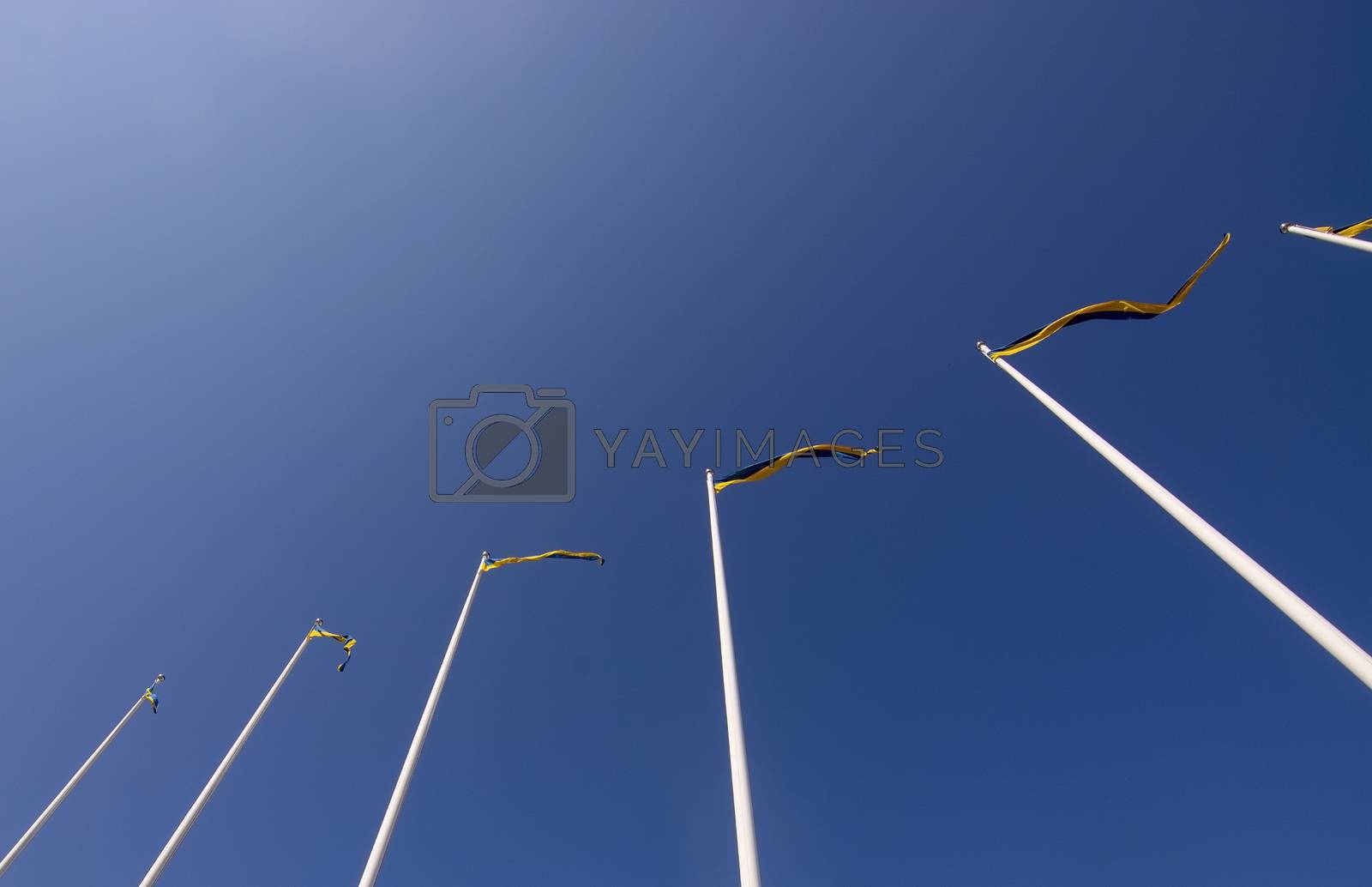 Royalty free image of Swedish flagpoles with blue and yellow pennants by ArtesiaWells