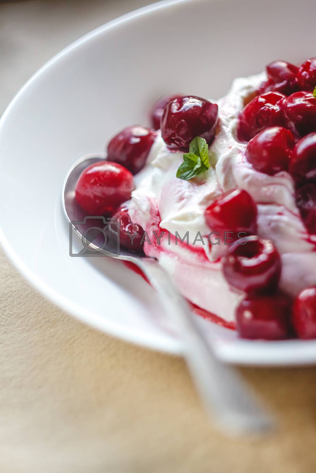 Royalty free image of Cottage cheese cream and cream dessert with cherries and mint fo by Tanacha
