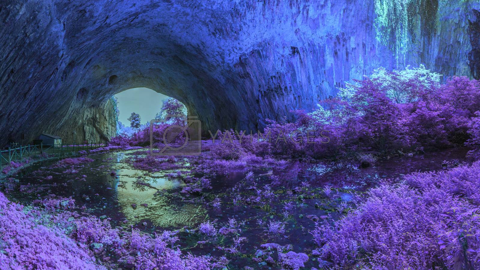 Royalty free image of Mystical cave in bright fantastic colors by Multipedia