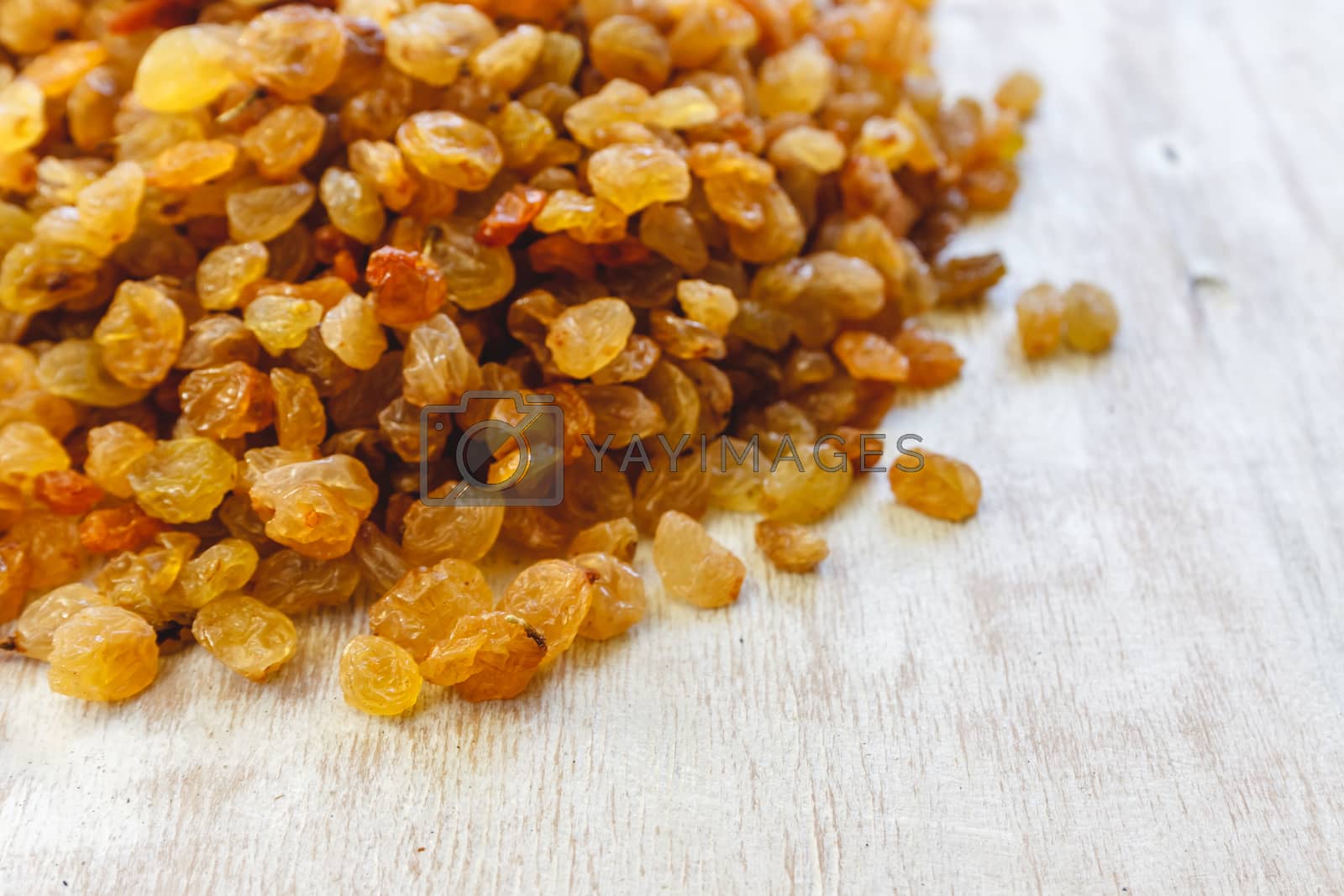 Royalty free image of Background from light yellow raisins. Close-up. by Tanacha