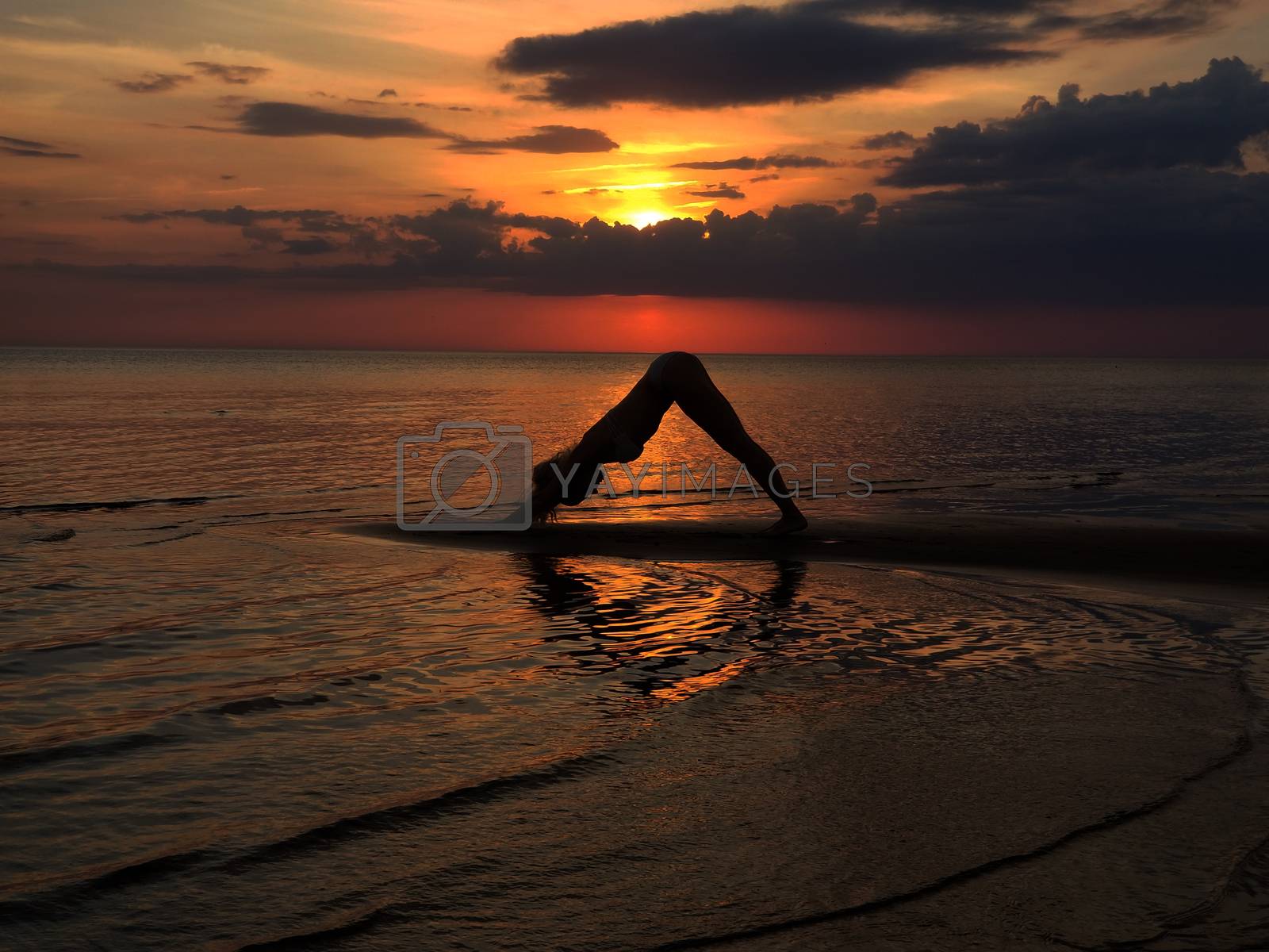 Royalty free image of silhouette of a girl practicing yoga on the beach. Shooting against the sun. Sunset over the sea by zakob337
