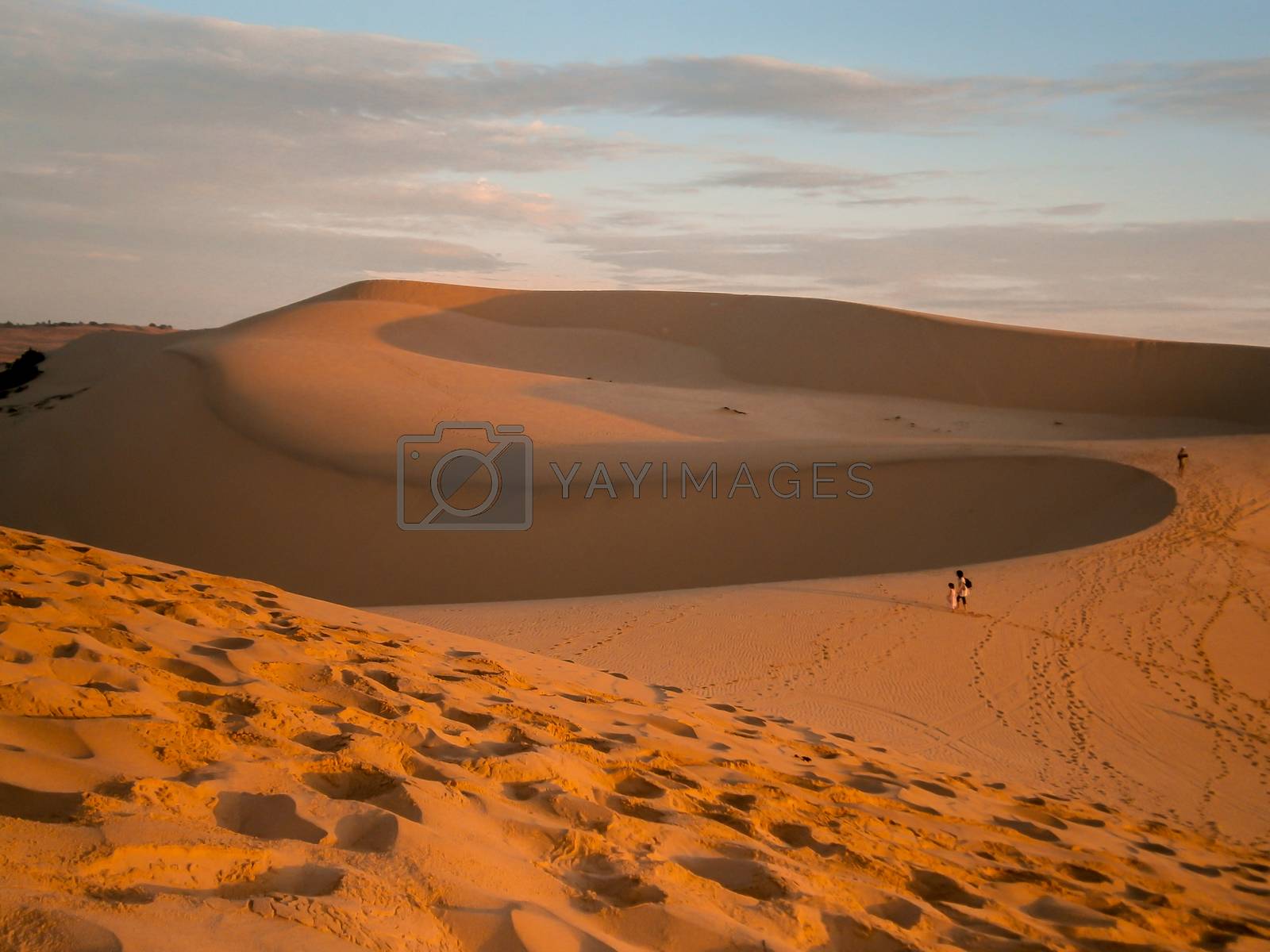 Royalty free image of Beautiful orange sand dunes by arvidnorberg