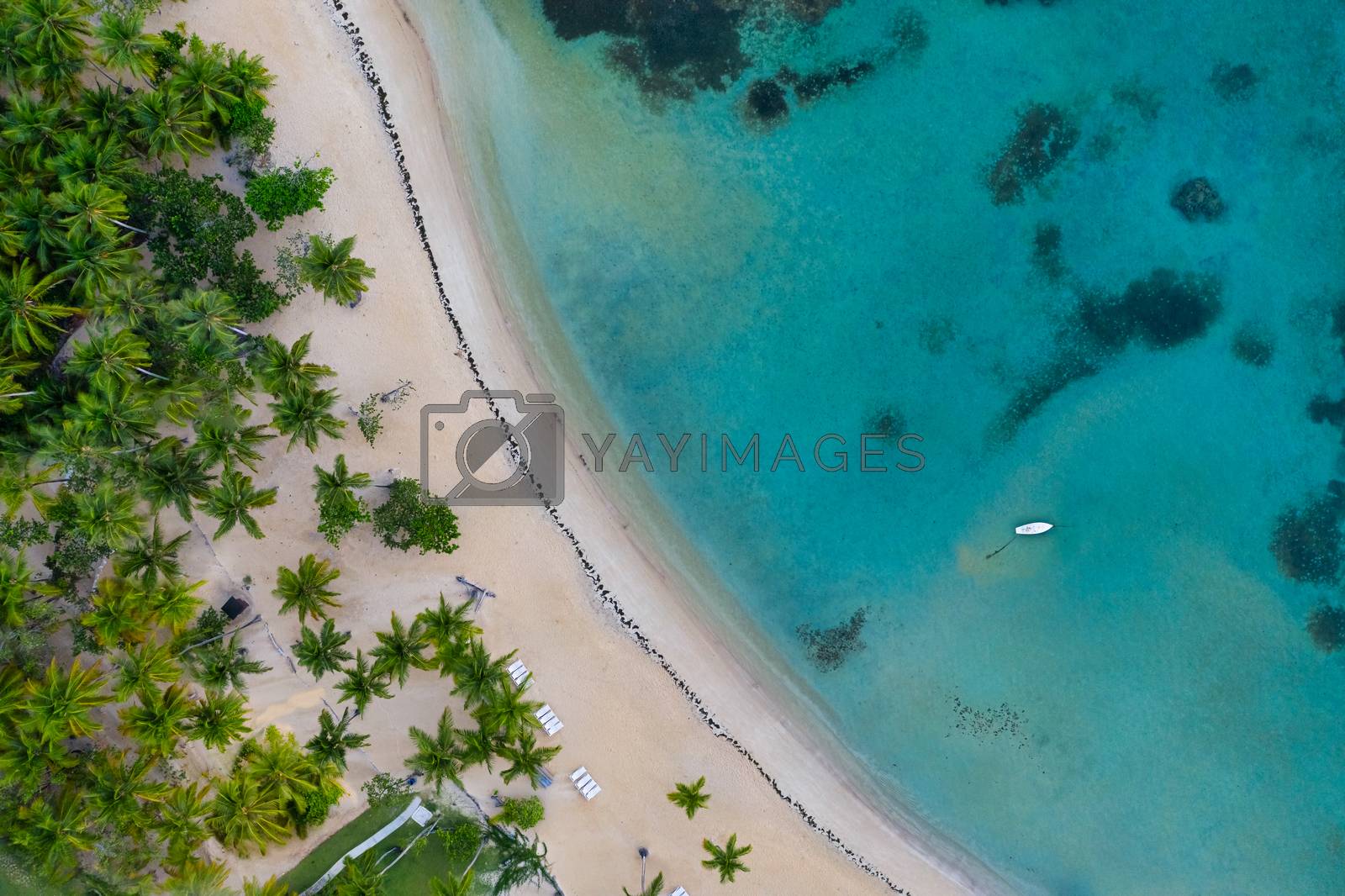 Royalty free image of Drone shot of tropical beach by Robertobinetti70