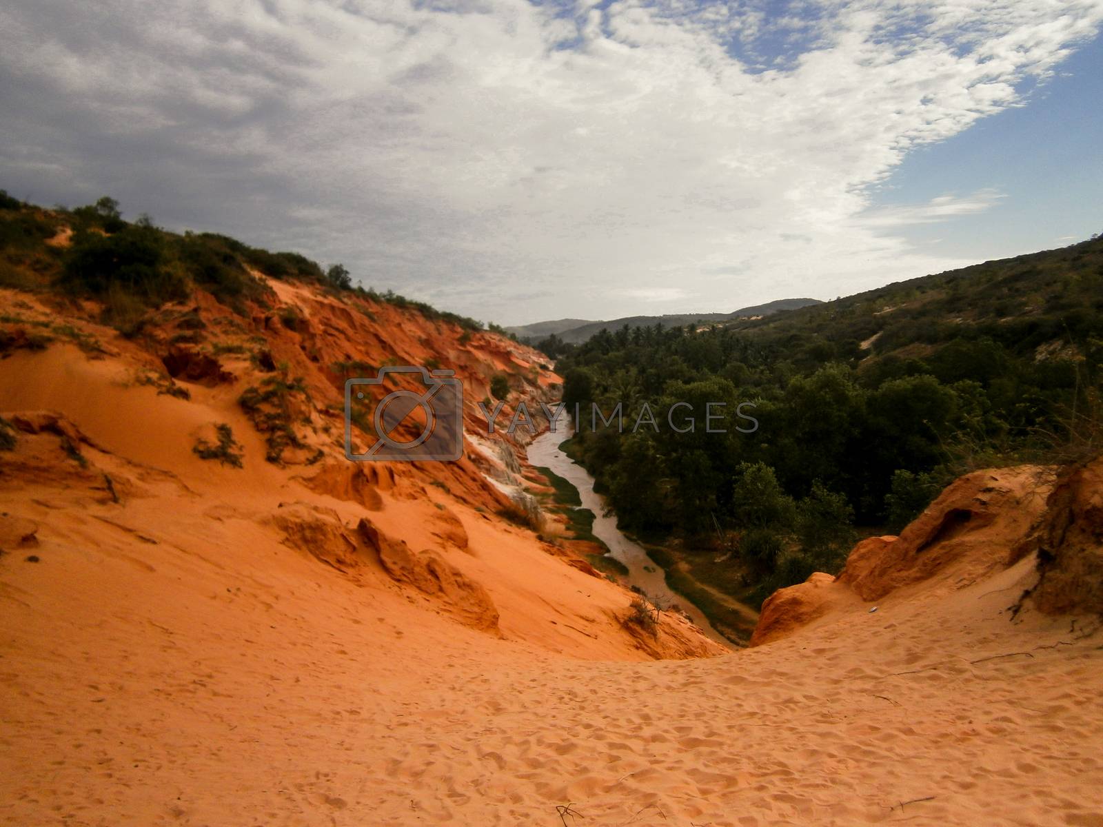 Royalty free image of Sand, forest and water by arvidnorberg
