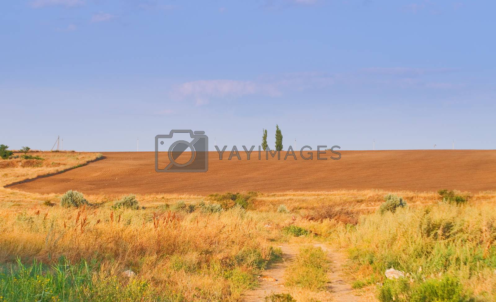 Royalty free image of summer landscape by vrvalerian