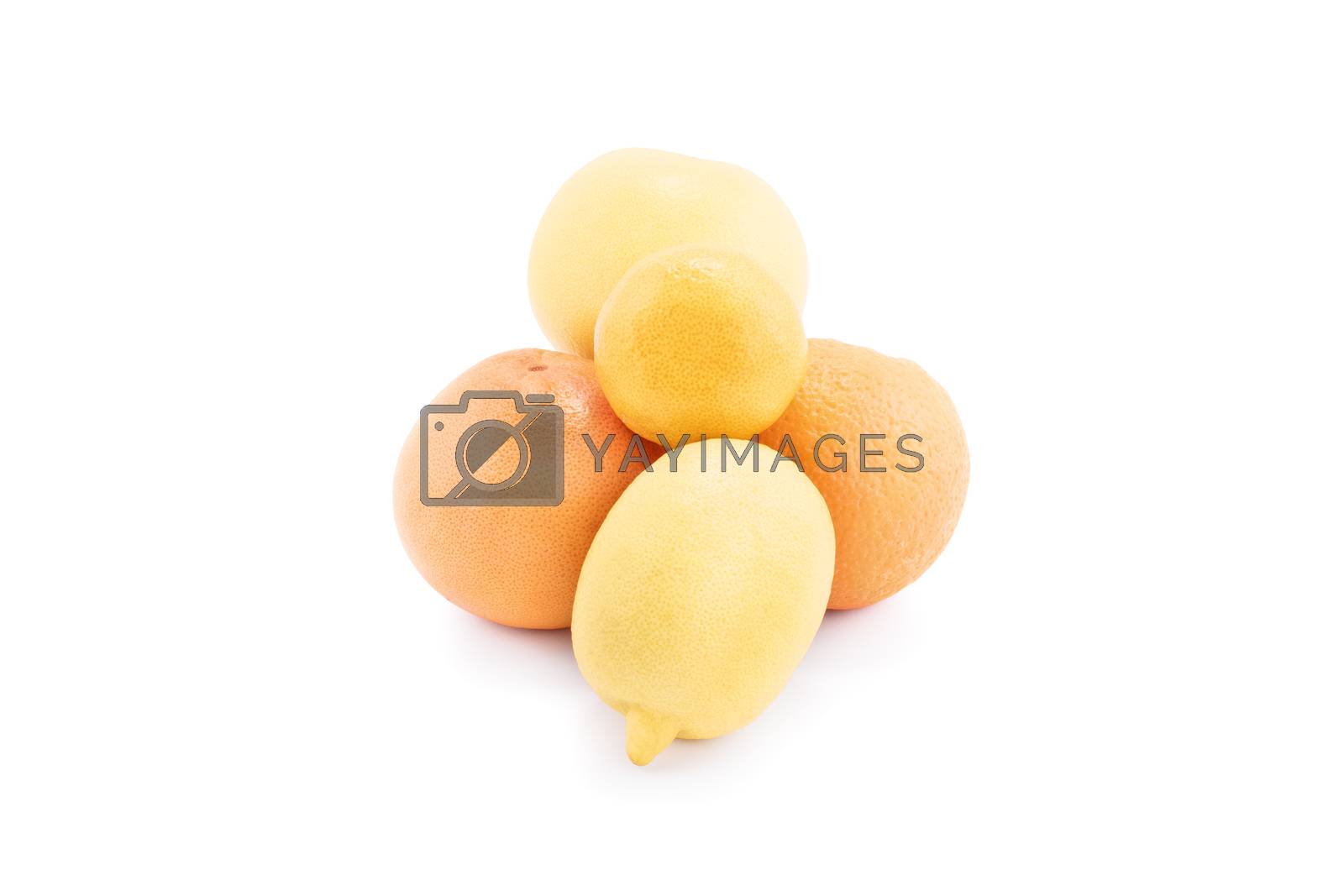 Royalty free image of Lemon, orange, citruses and tangerine by Mendelex