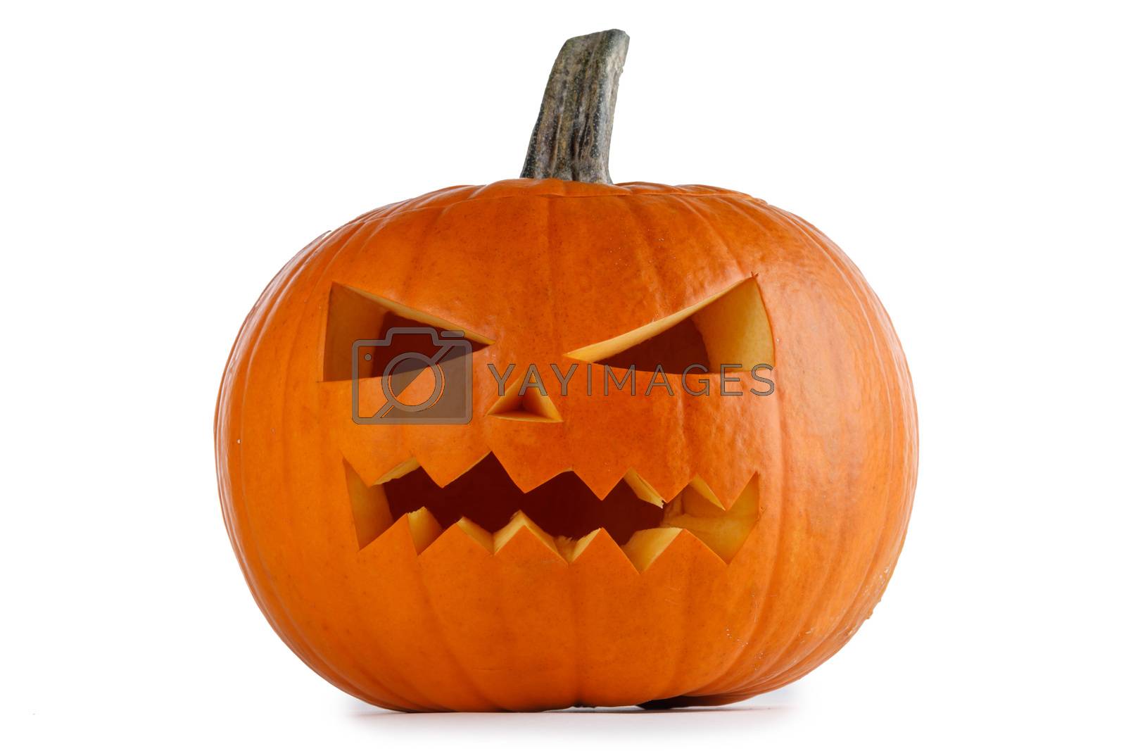 Royalty free image of Halloween Pumpkin on white by Yellowj