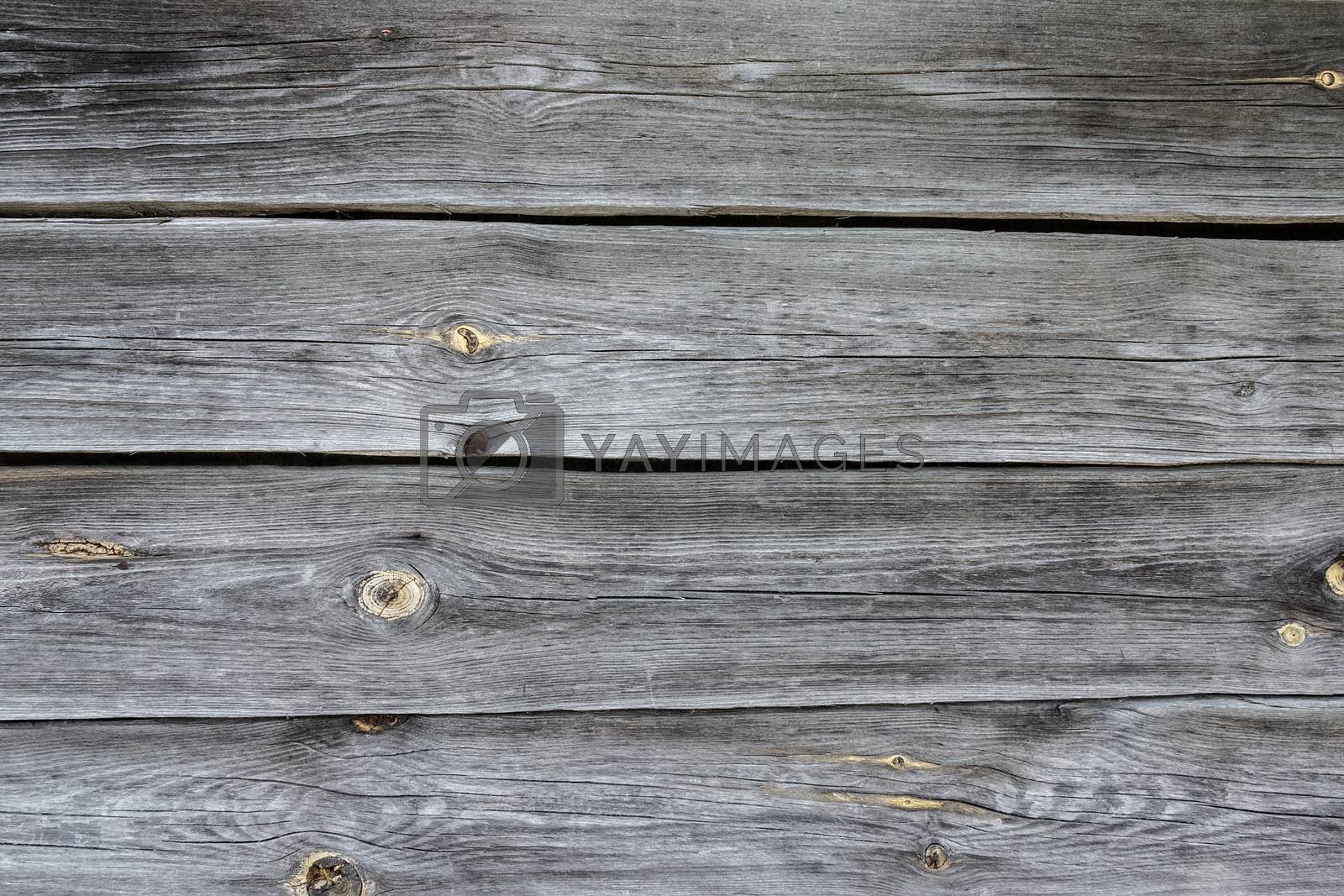 Royalty free image of Texture of a wooden background by AlexBush