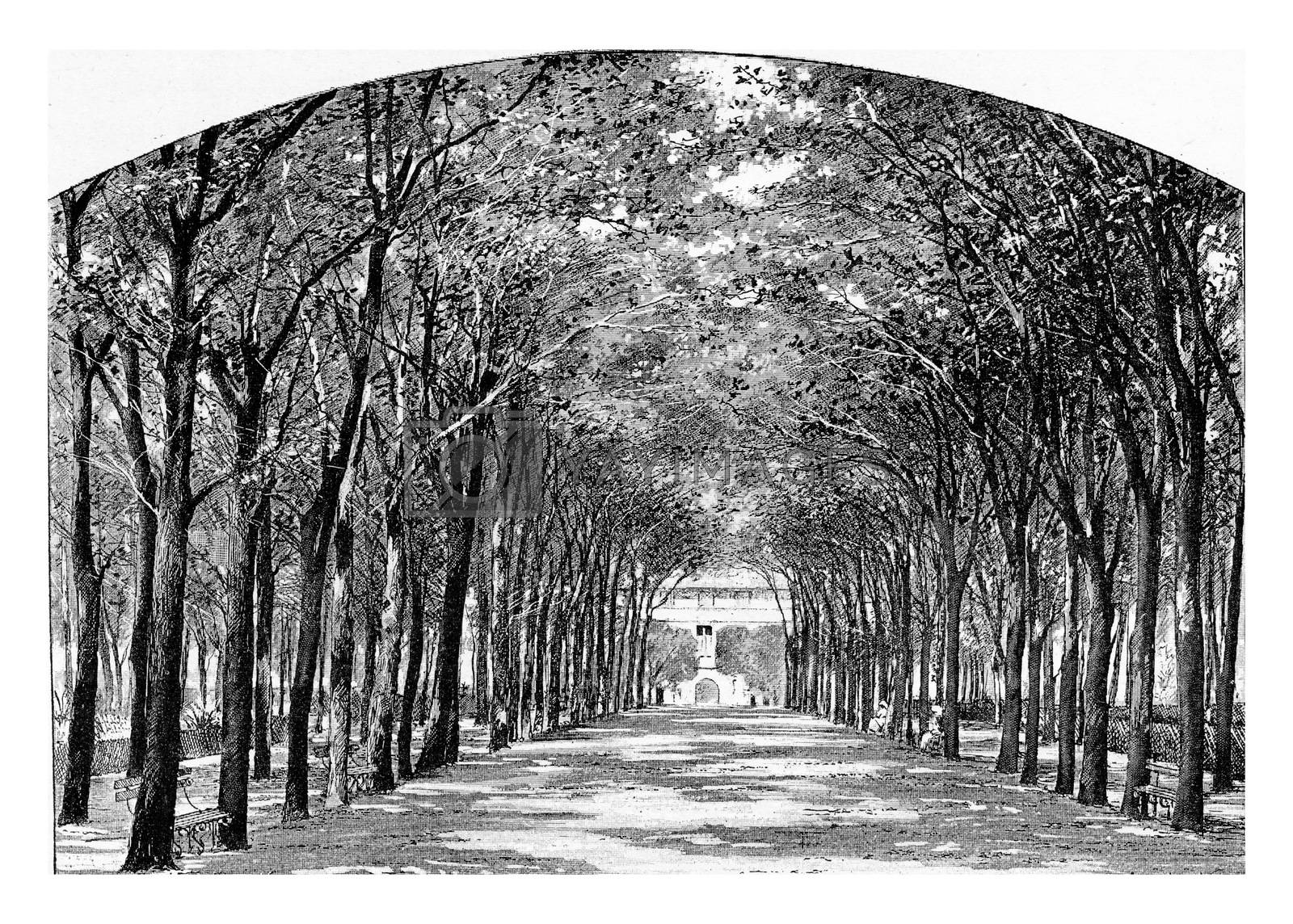 Royalty free image of Park in front of the Pitie-Salpetriere Hospital in Paris, France by Morphart