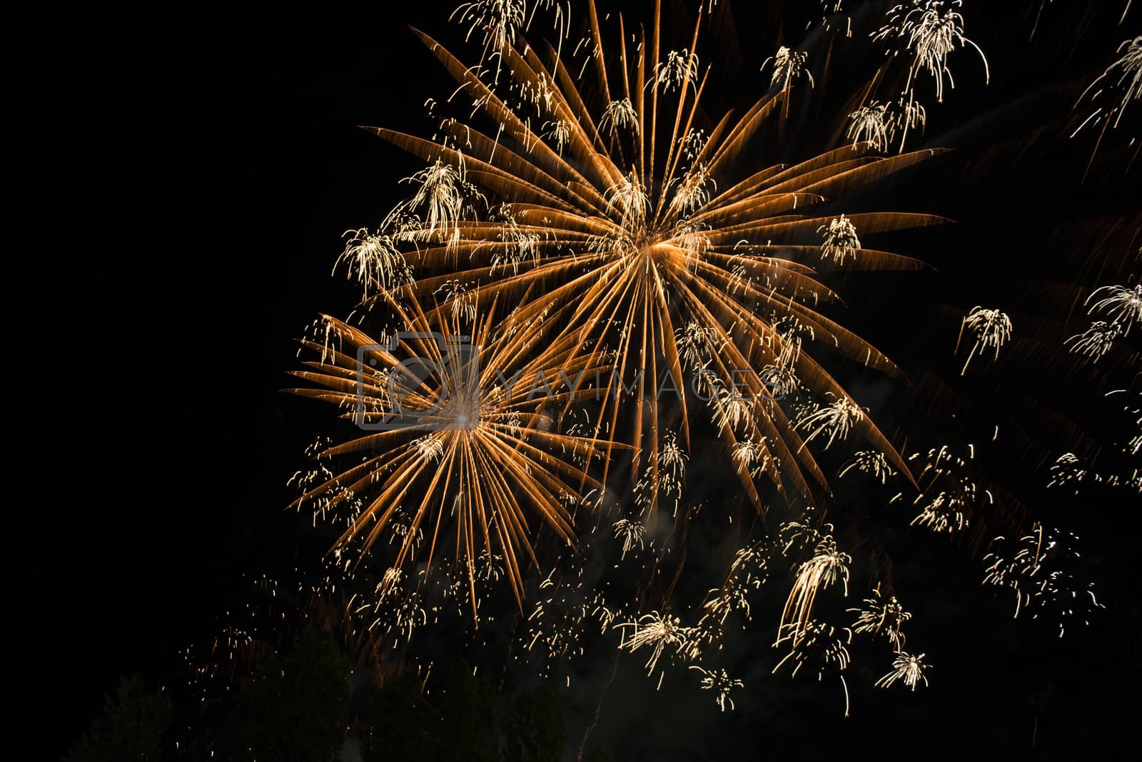 Royalty free image of happy celebration Firework by marynkin