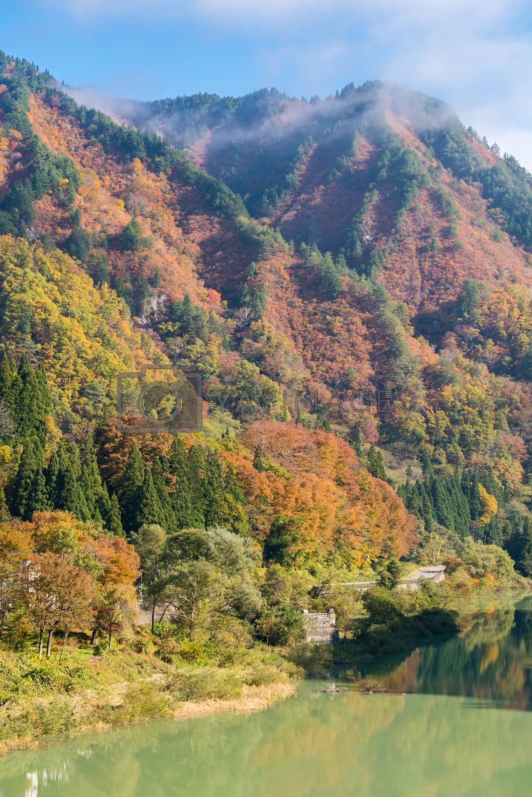 Royalty free image of Tadami Fukushima Autumn by vichie81