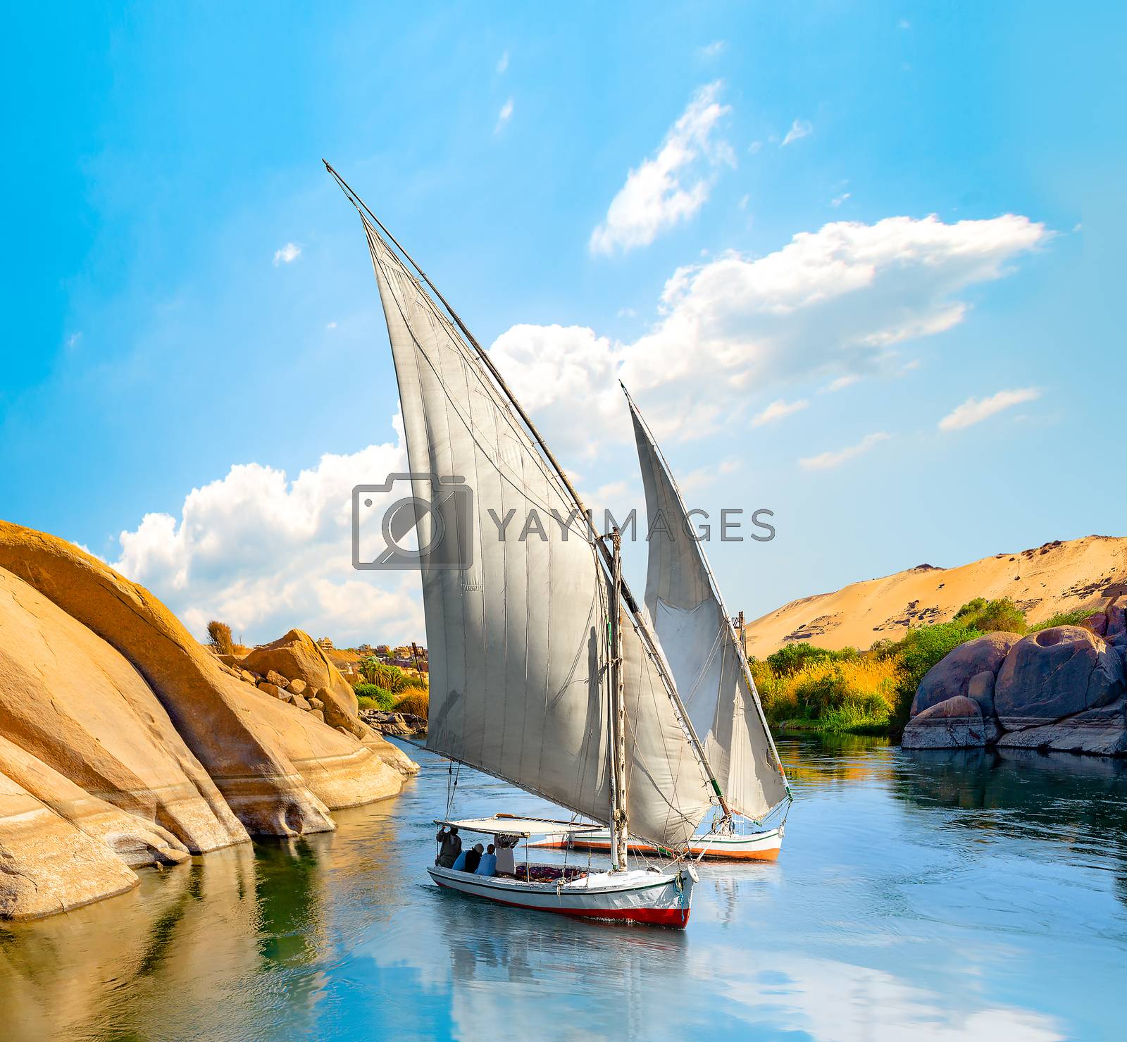 Royalty free image of Felucca on the Nile by Givaga