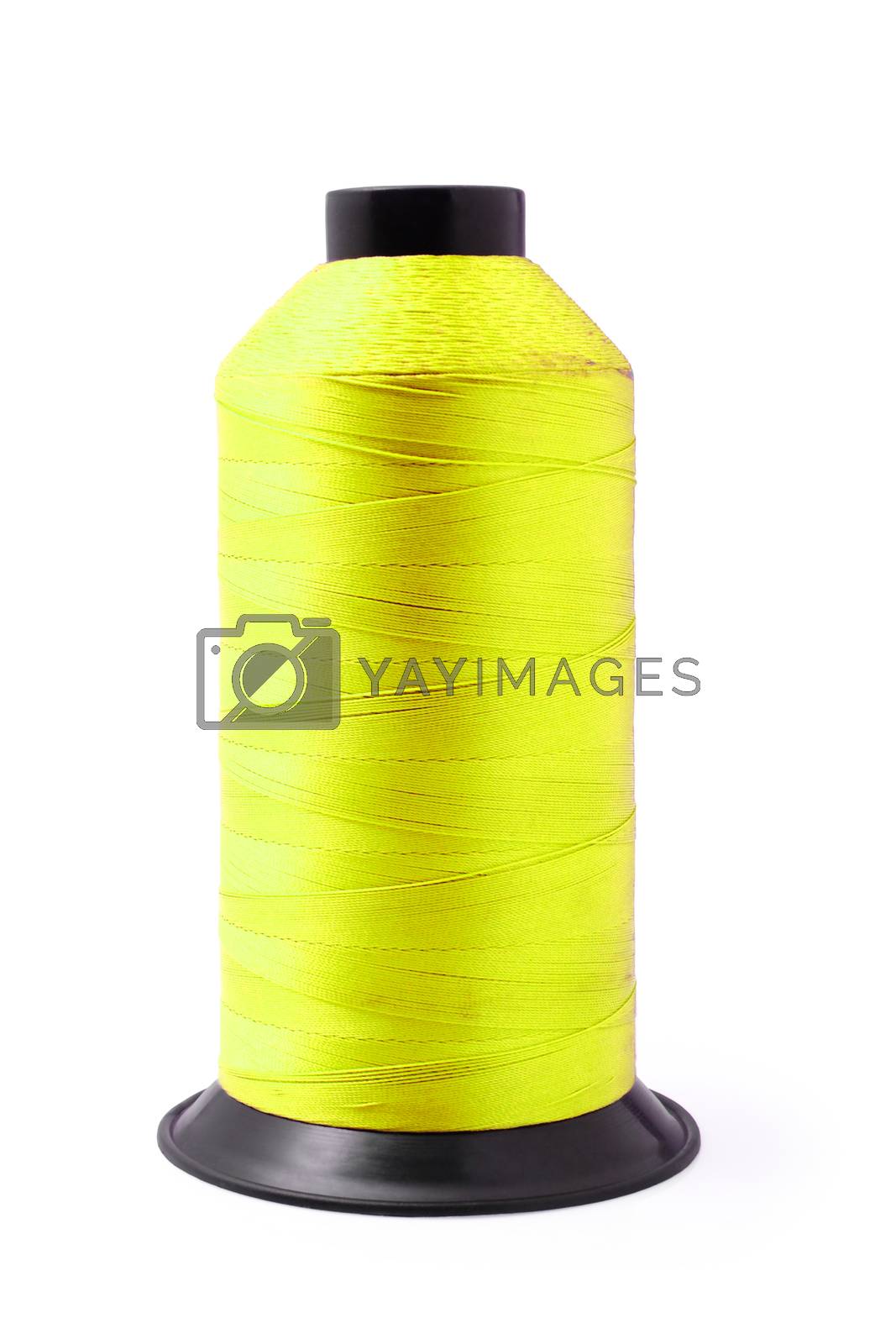 Royalty free image of Yellow sewing thread isolated with clipping path.     by phalakon