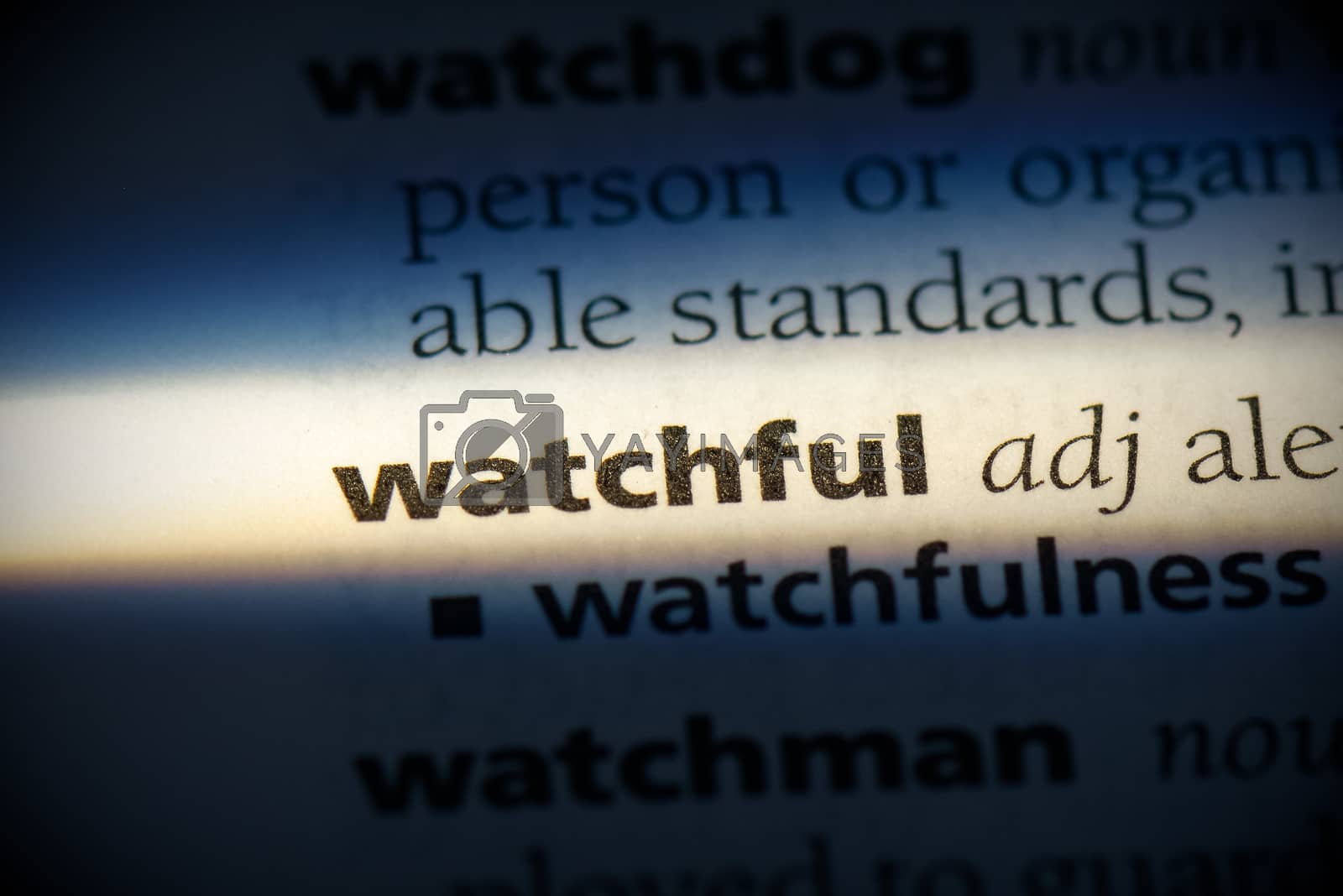Royalty free image of watchful by CasimiroPt