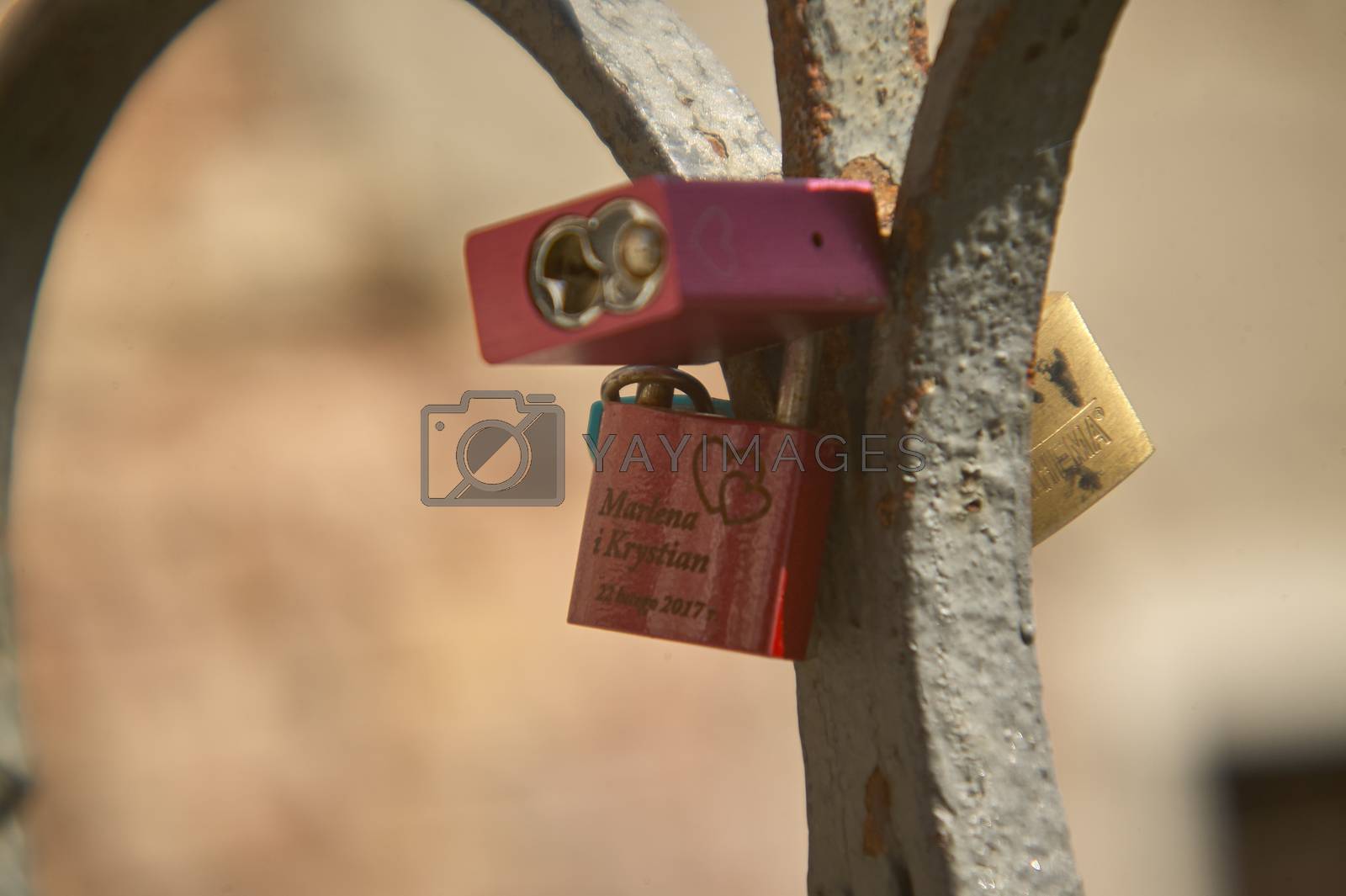 Royalty free image of Padlocks of love by pippocarlot