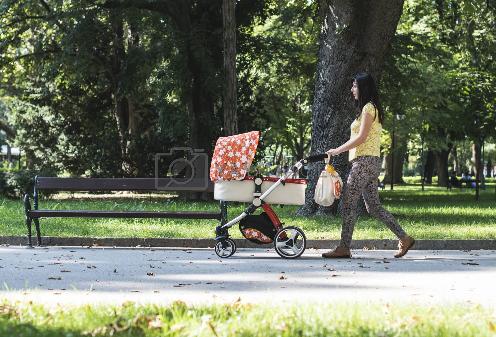 Royalty free image of Mother walking in the park with baby buggy by deyan_georgiev