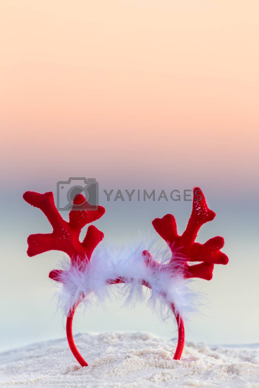 Royalty free image of Christmas reindeer antlers on an Australian beach by lovleah