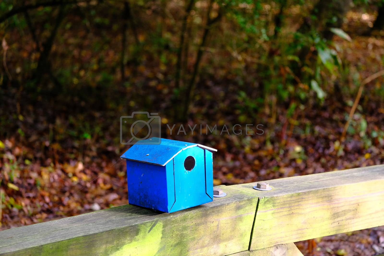 Royalty free image of Blue Birdhouse on Wood Railing by dbvirago