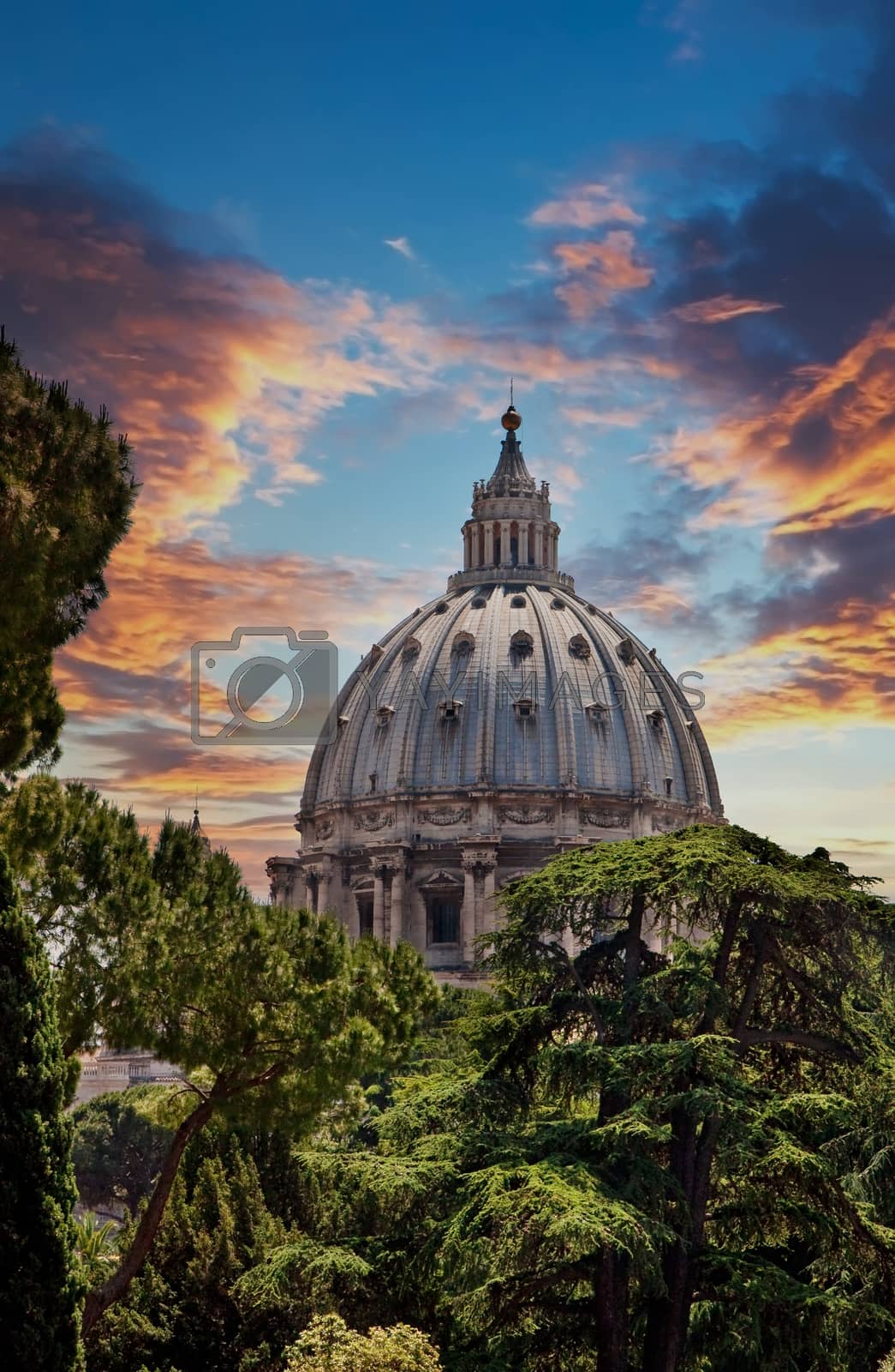 Royalty free image of St Peters in Trees by dbvirago