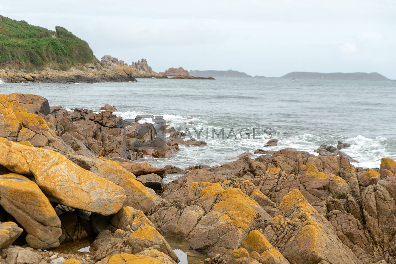 Royalty free image of Hiking on bretagne cotes d'armor coast by javax