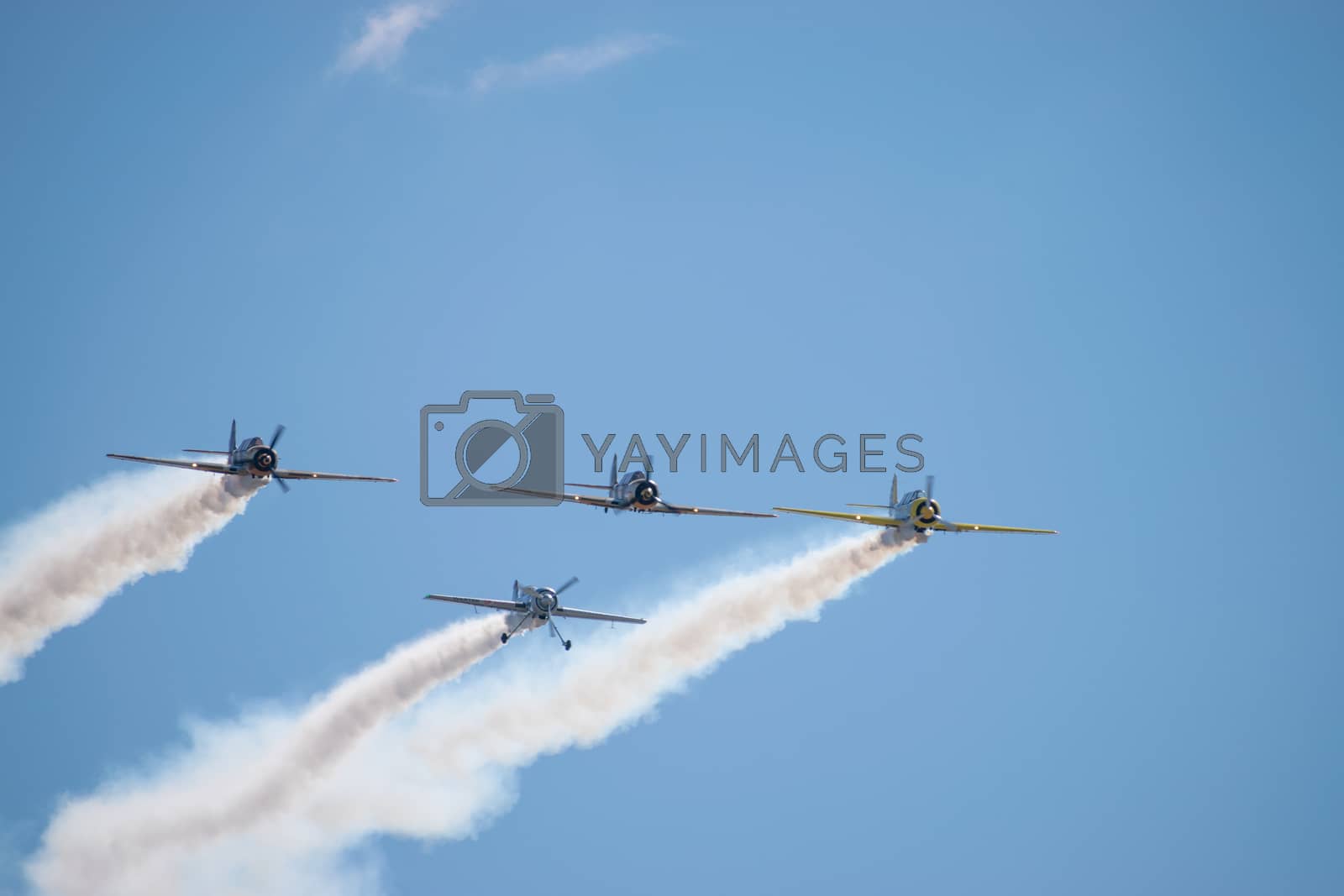 Royalty free image of Bucharest/ Romania - AeroNautic Show - September 21, 2019: Three YAK-52TW and Jurgis Kairys' Sukhoi Su-31 performing stunts together by Luca-Mih