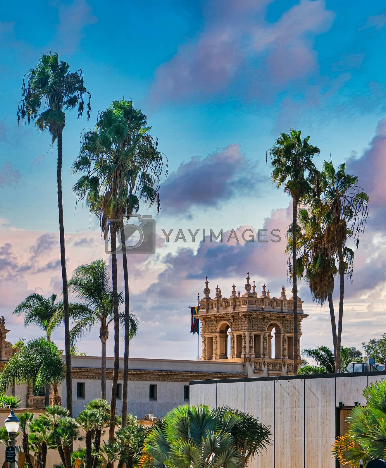 Royalty free image of Sky Over Museums and Palm Trees by dbvirago