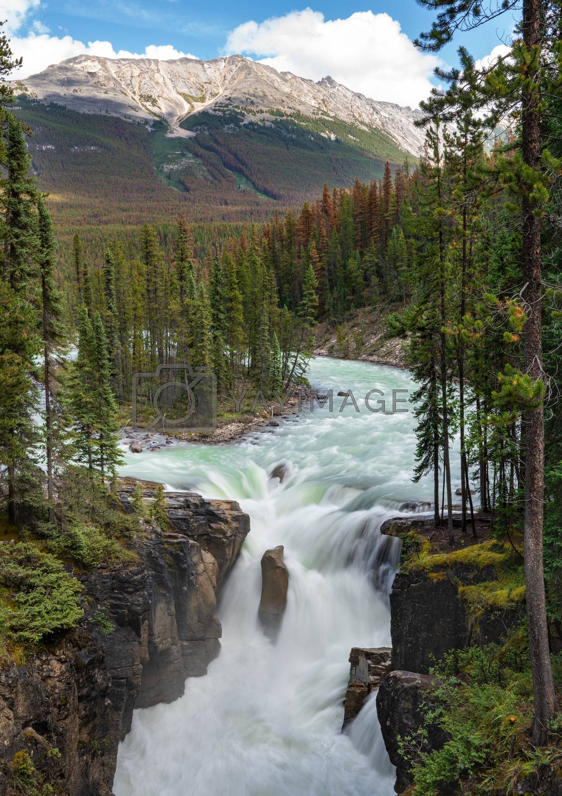 Royalty free image of Sunwapta Falls, Jasper National Park, Alberta, Canada by alfotokunst