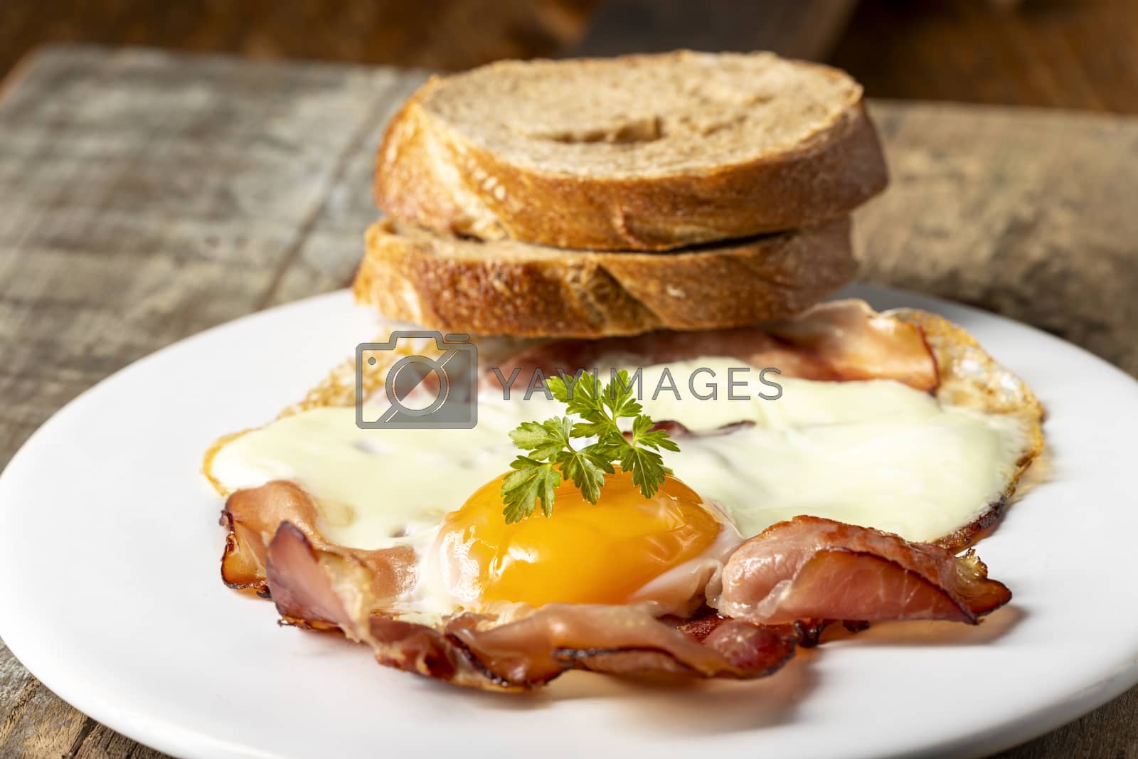 Royalty free image of egg sunny side up on a plate by bernjuer