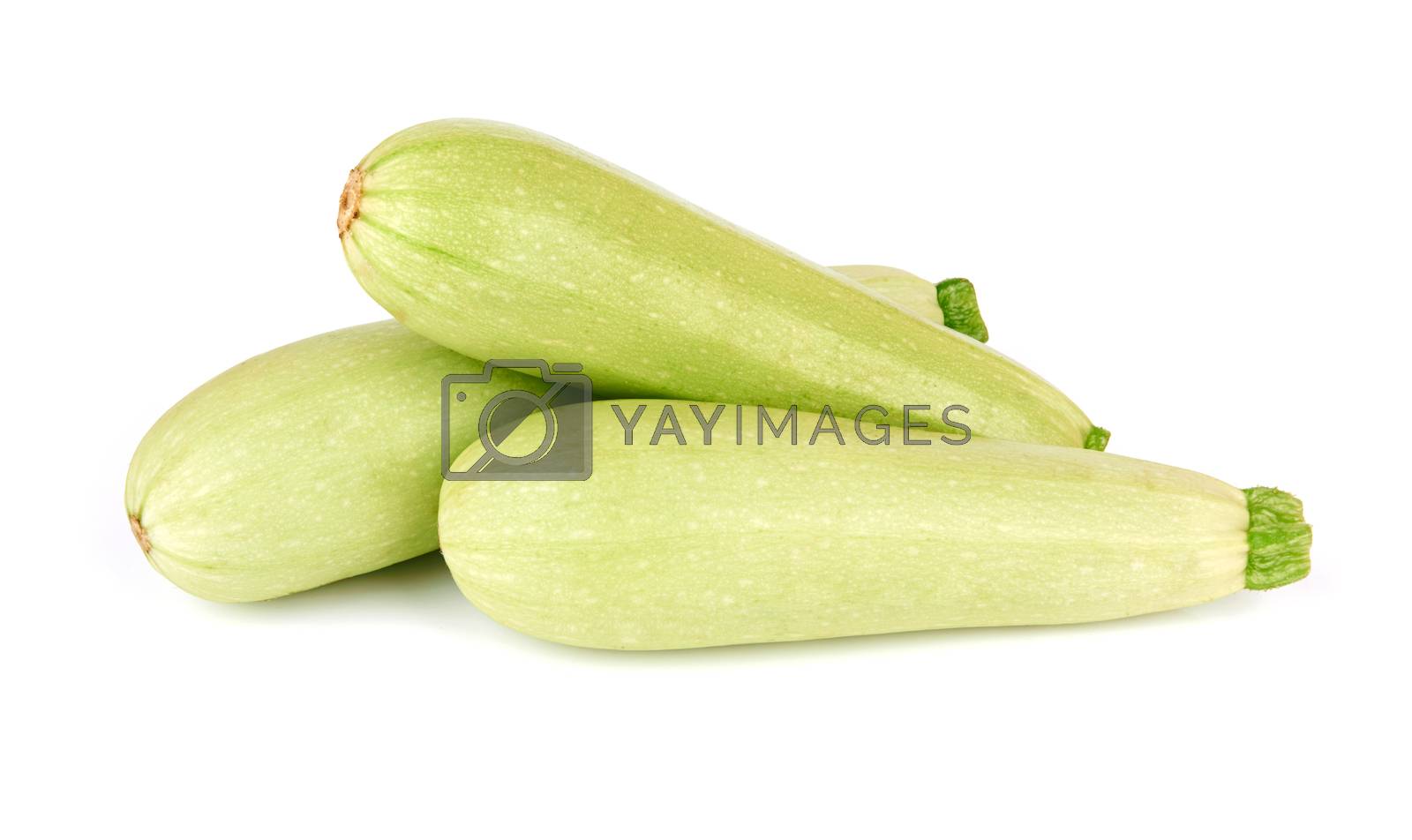 Royalty free image of marrow by pioneer111