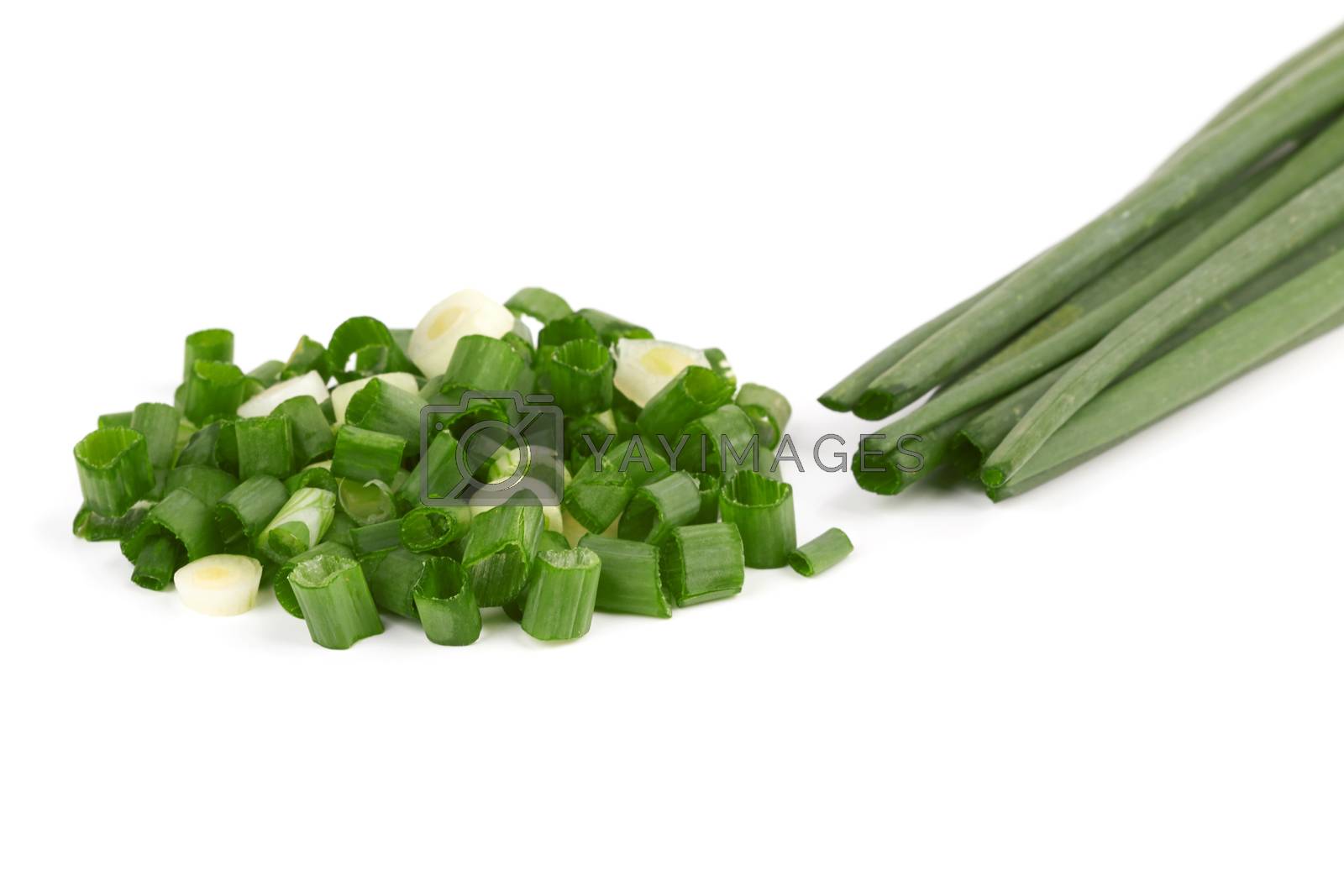 Royalty free image of Green onions by pioneer111