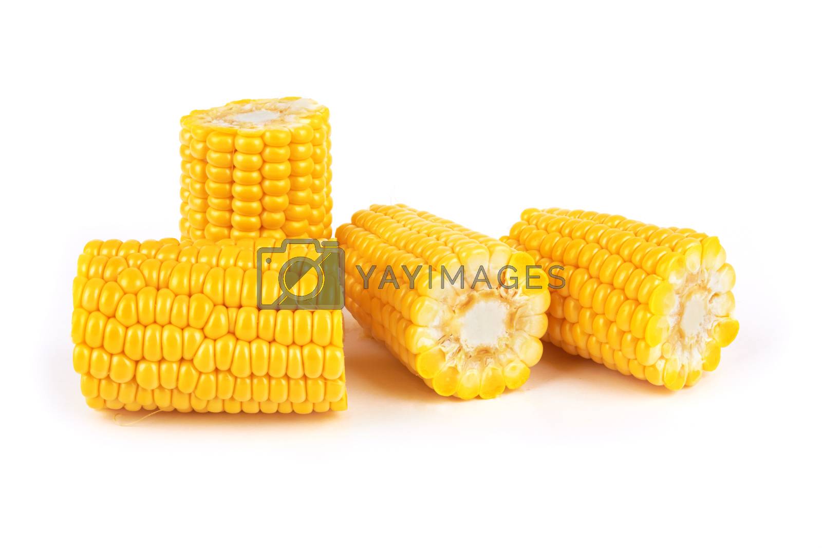 Royalty free image of corn by pioneer111