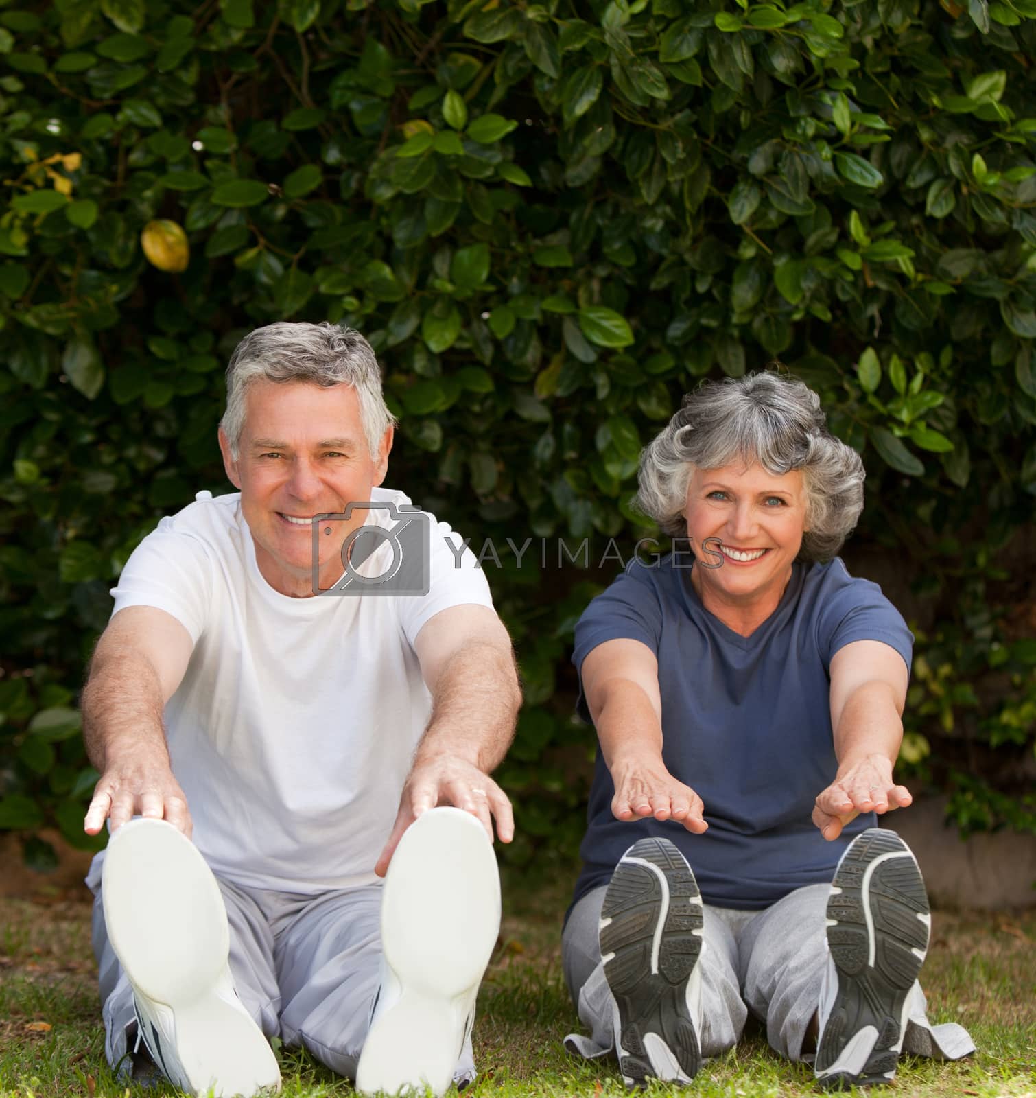 Royalty free image of Retired couple doing their exercises  by Wavebreakmedia