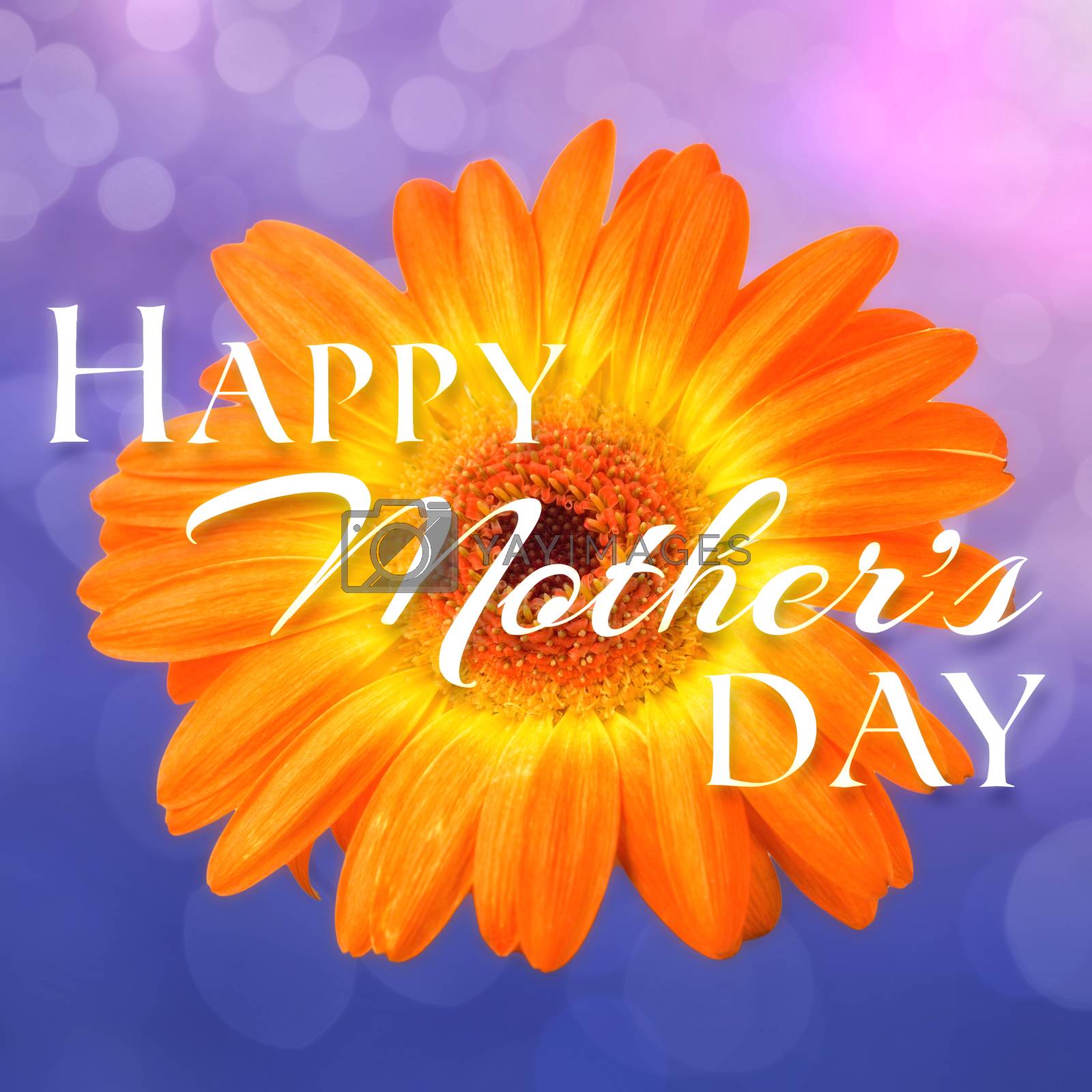 Royalty free image of Composite image of happy mothers day by Wavebreakmedia