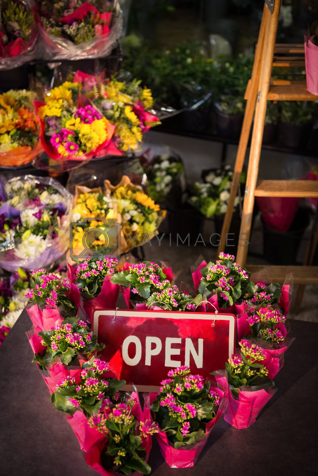 Royalty free image of Open signboard decorated with heart shape plant pots by Wavebreakmedia
