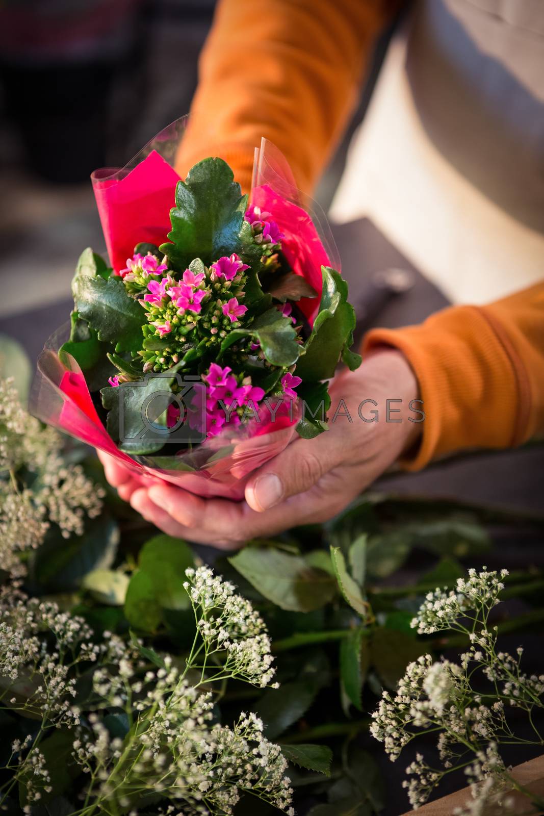 Royalty free image of Male florist holding flower bouquet at flower shop by Wavebreakmedia