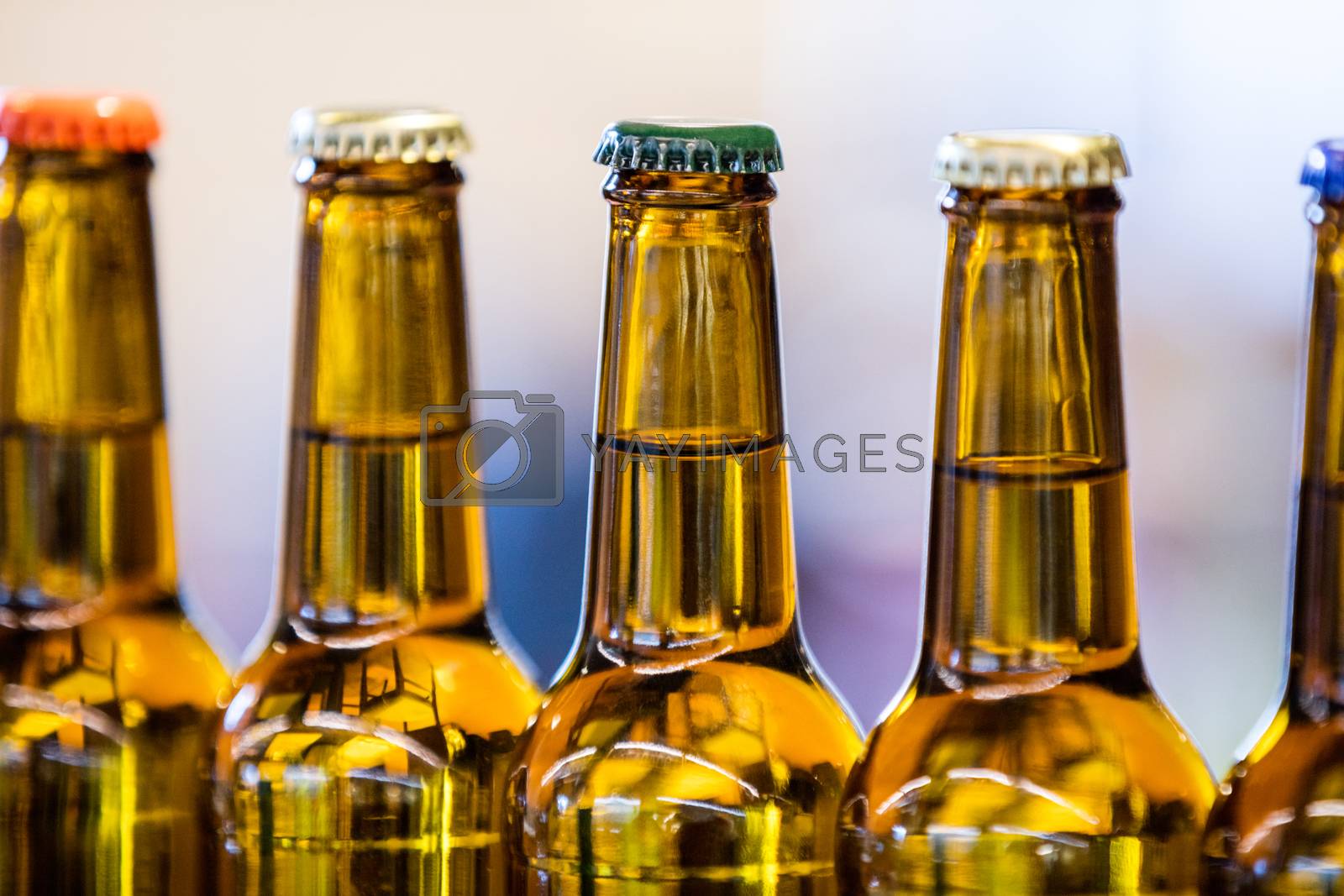 Royalty free image of Close-up of sealed beer bottles by Wavebreakmedia