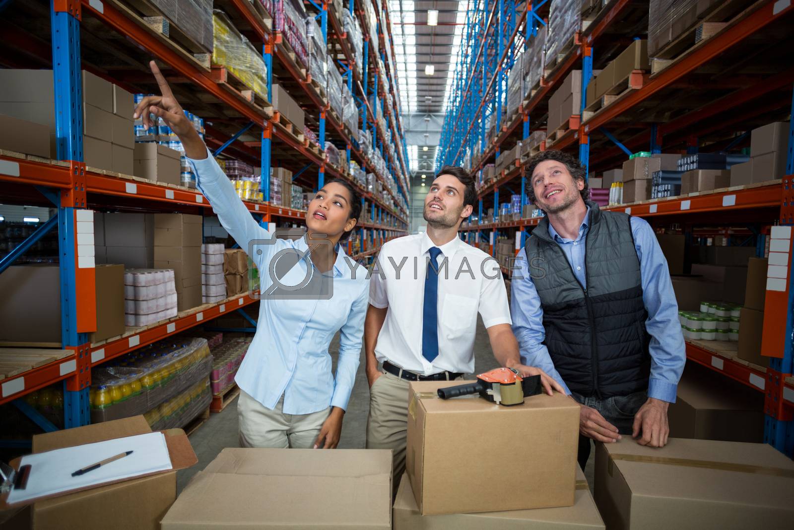 Royalty free image of Managers are looking up and pointing shelves by Wavebreakmedia