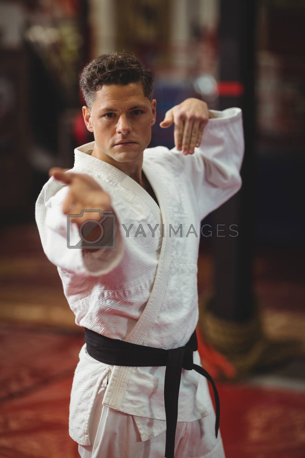 Royalty free image of Karate player performing karate stance by Wavebreakmedia
