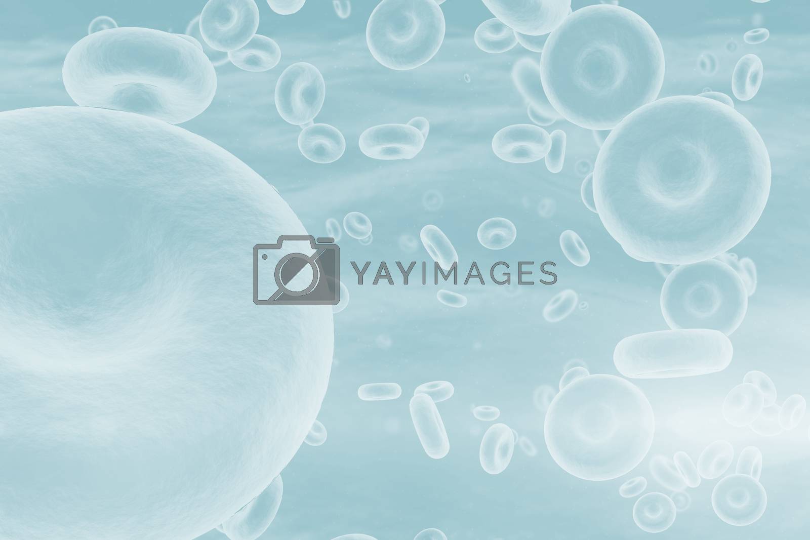 Royalty free image of Red blood cells in human body by Wavebreakmedia