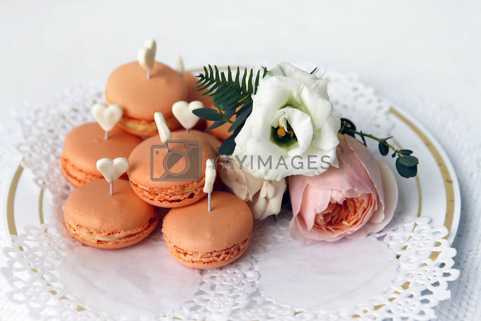Royalty free image of Cakes and boutonniere with roses  by friday