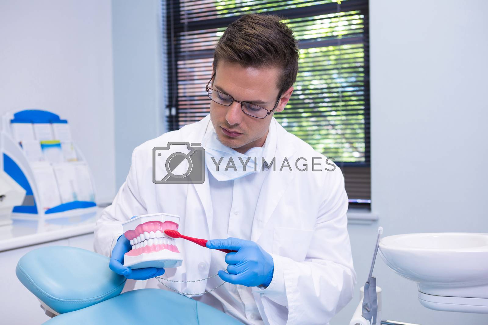Dentist brushing dental mold while sitting at clinic